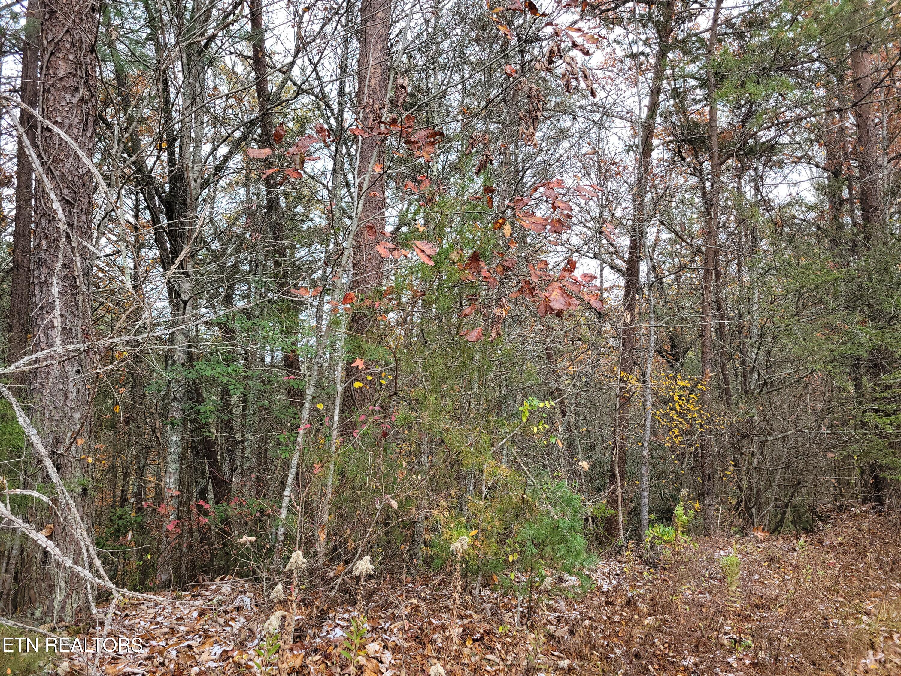 Lot 1 & 2 Ridgeview Drive Sevierville TN 37876