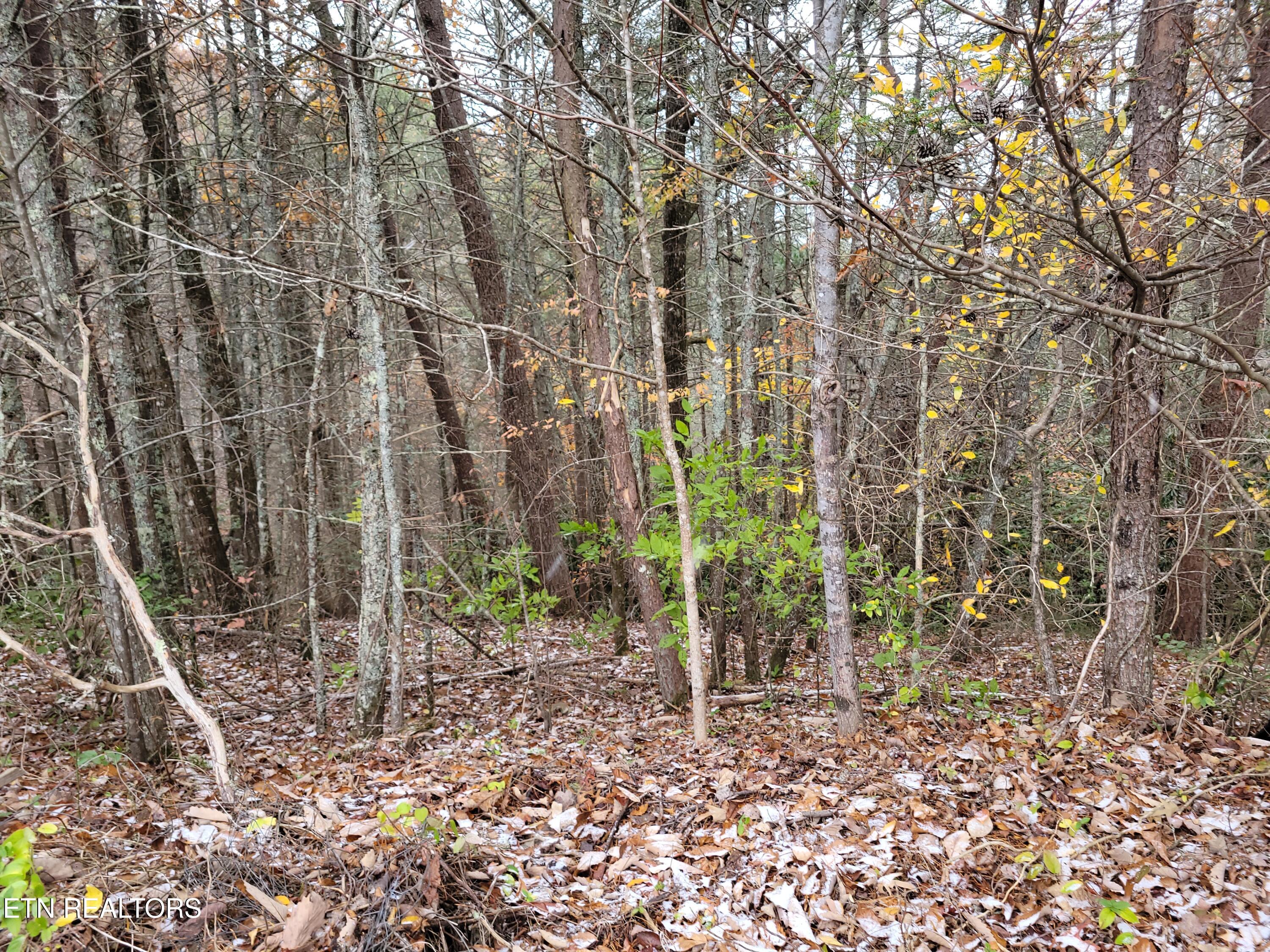 Lot 1 & 2 Ridgeview Drive Sevierville TN 37876