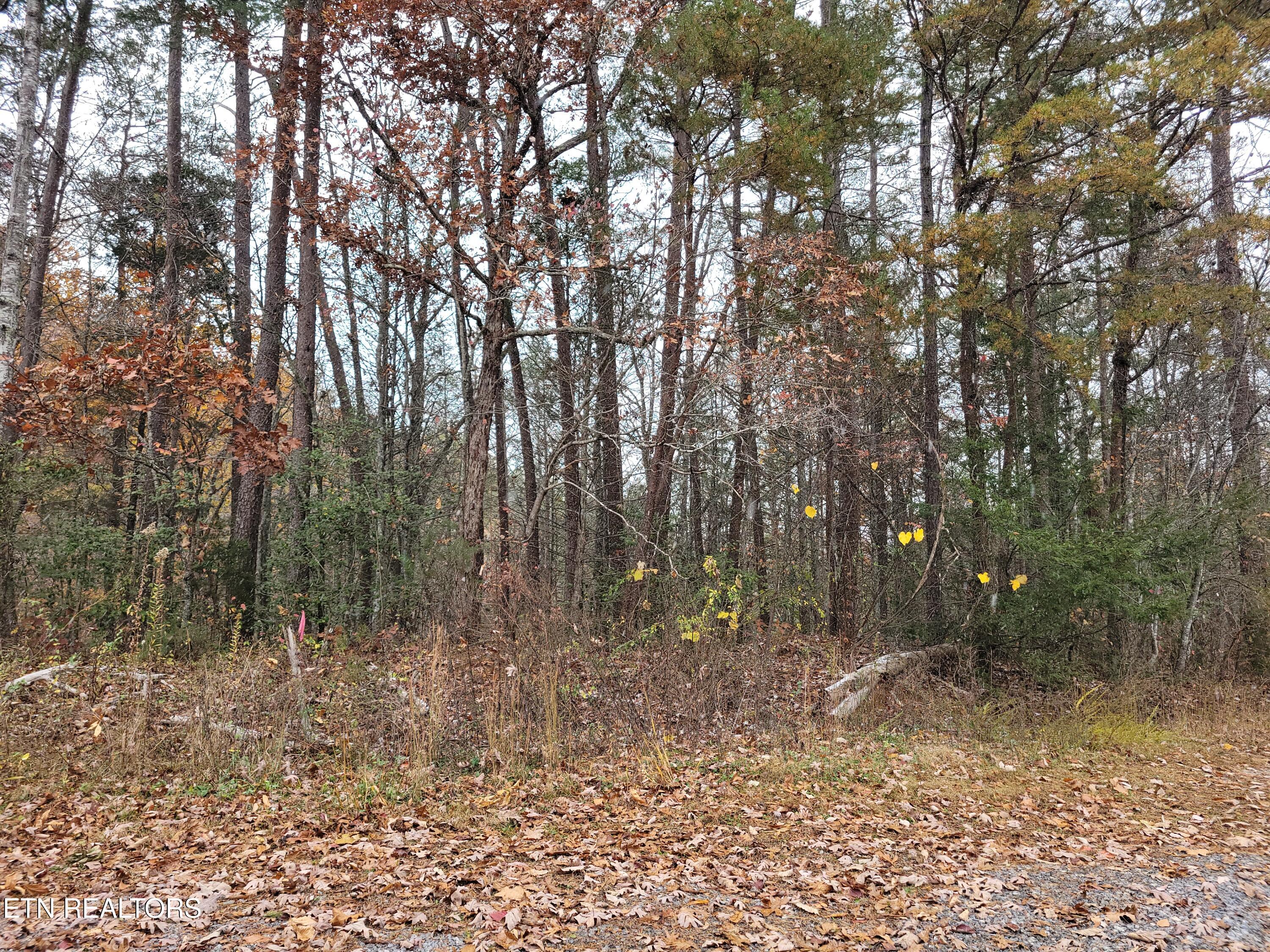 Lot 1 & 2 Ridgeview Drive Sevierville TN 37876