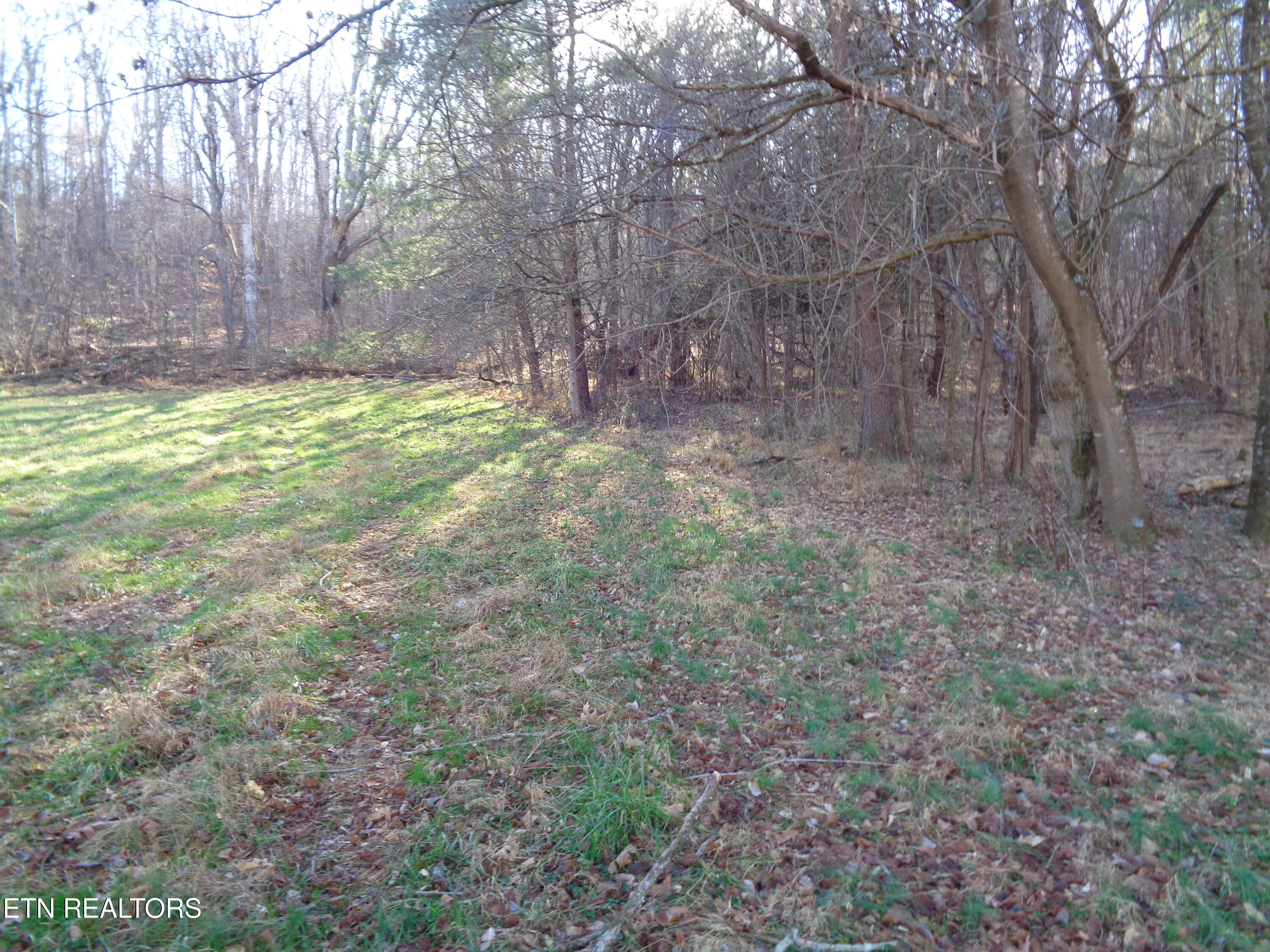 1504 E Main Street Rogersville TN 37857