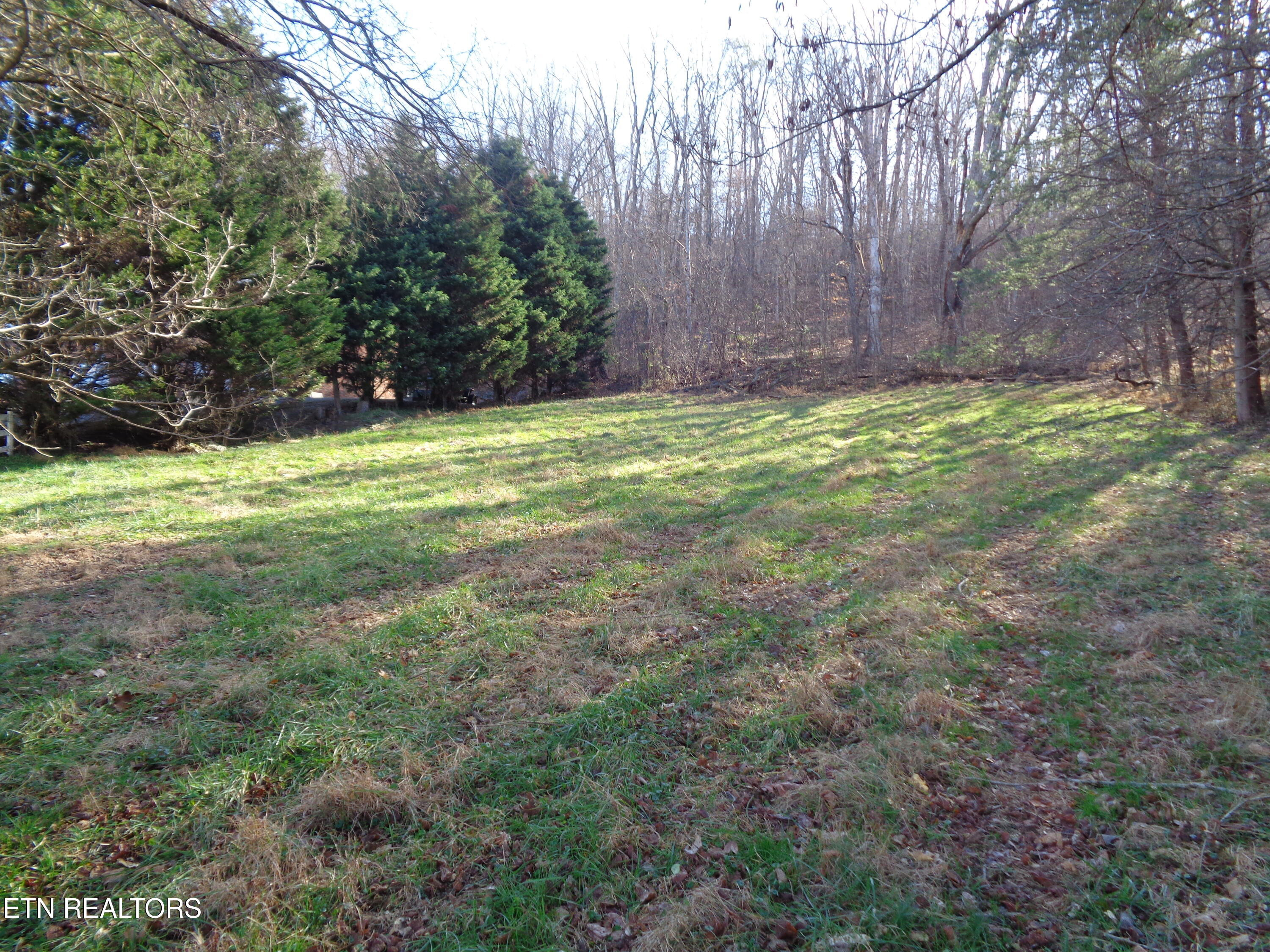 1504 E Main Street Rogersville TN 37857