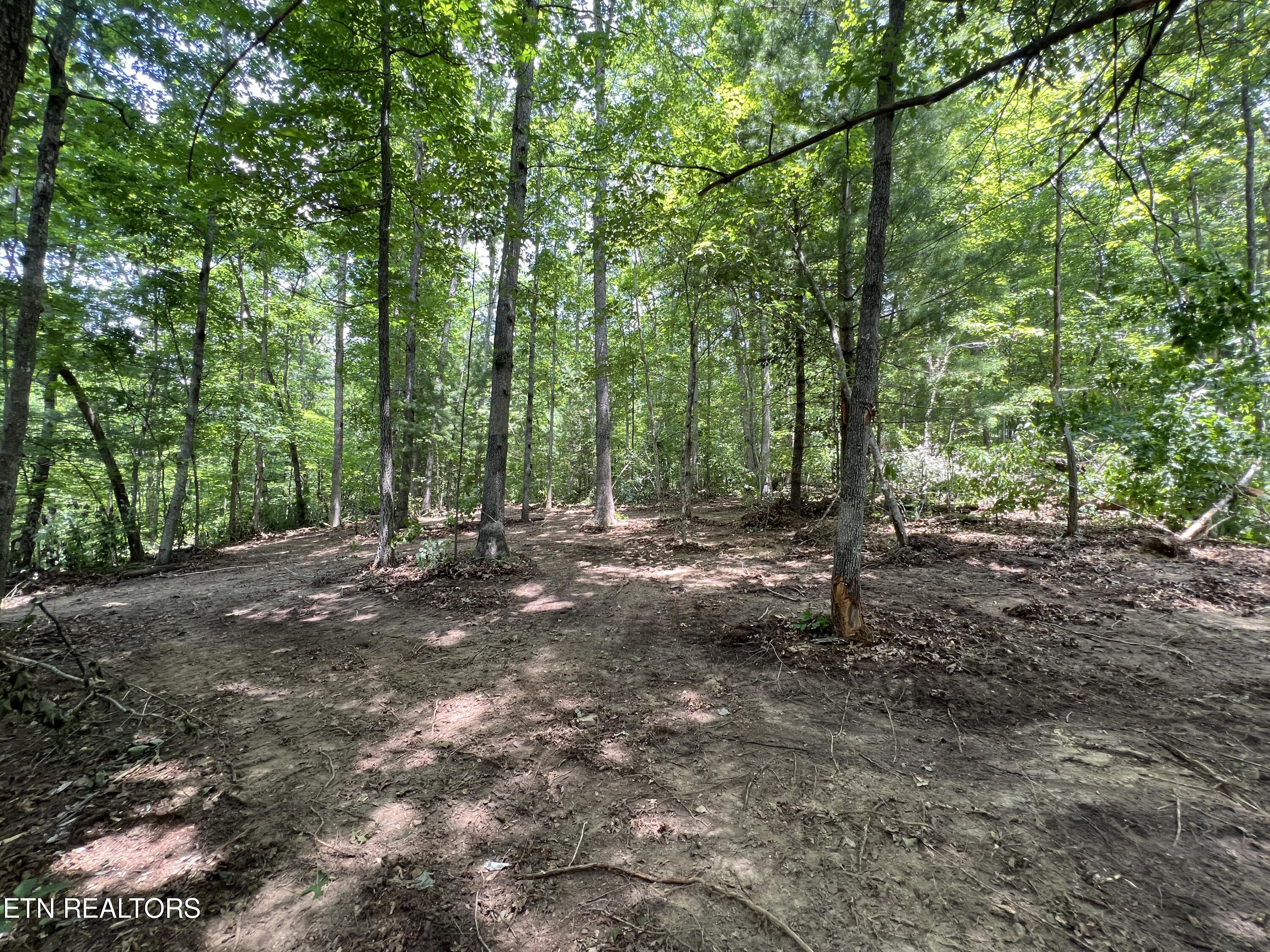 Woods Hollow Lane Crossville TN 38571