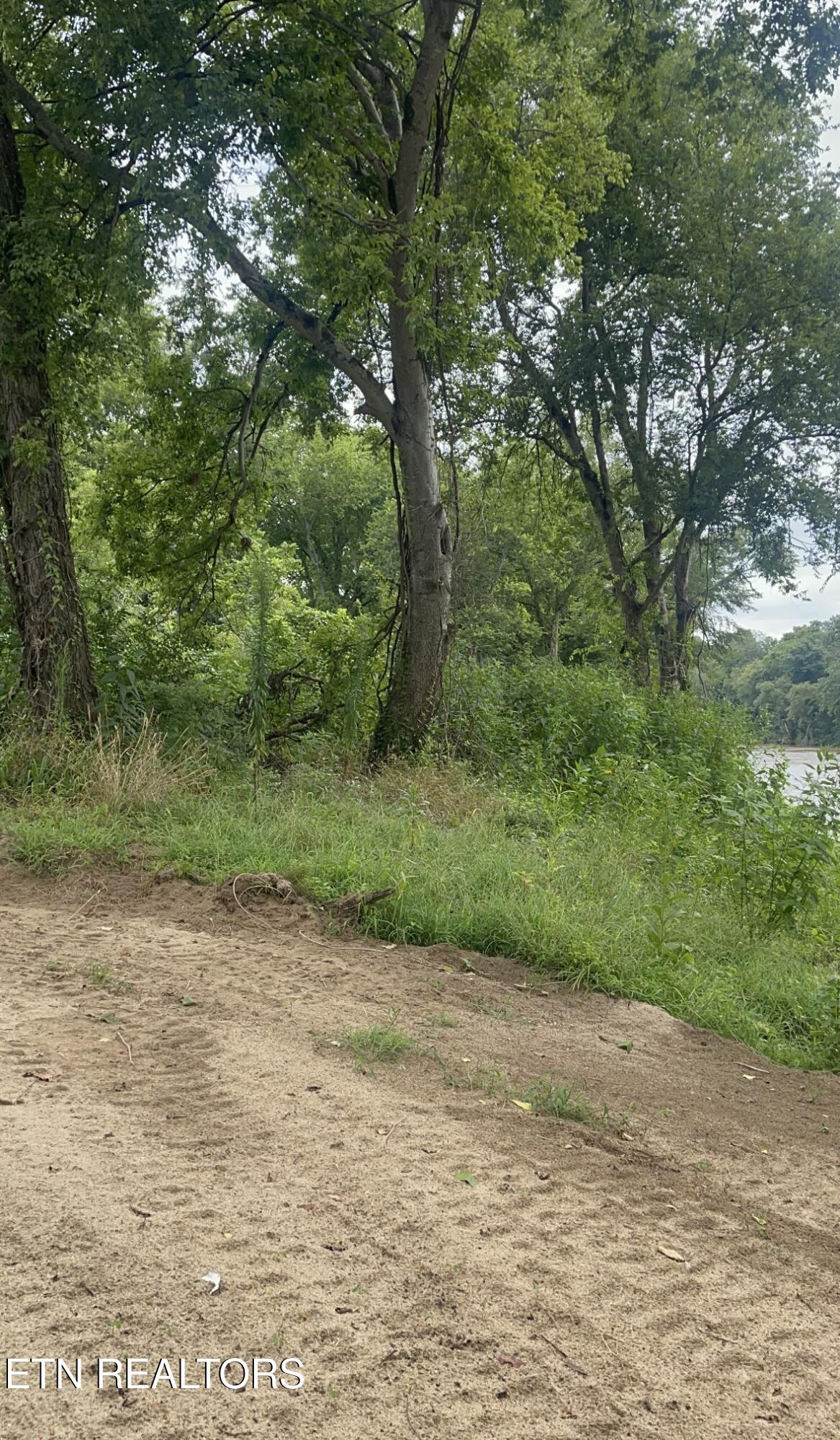 1463 River Chase Way Newport TN 37821