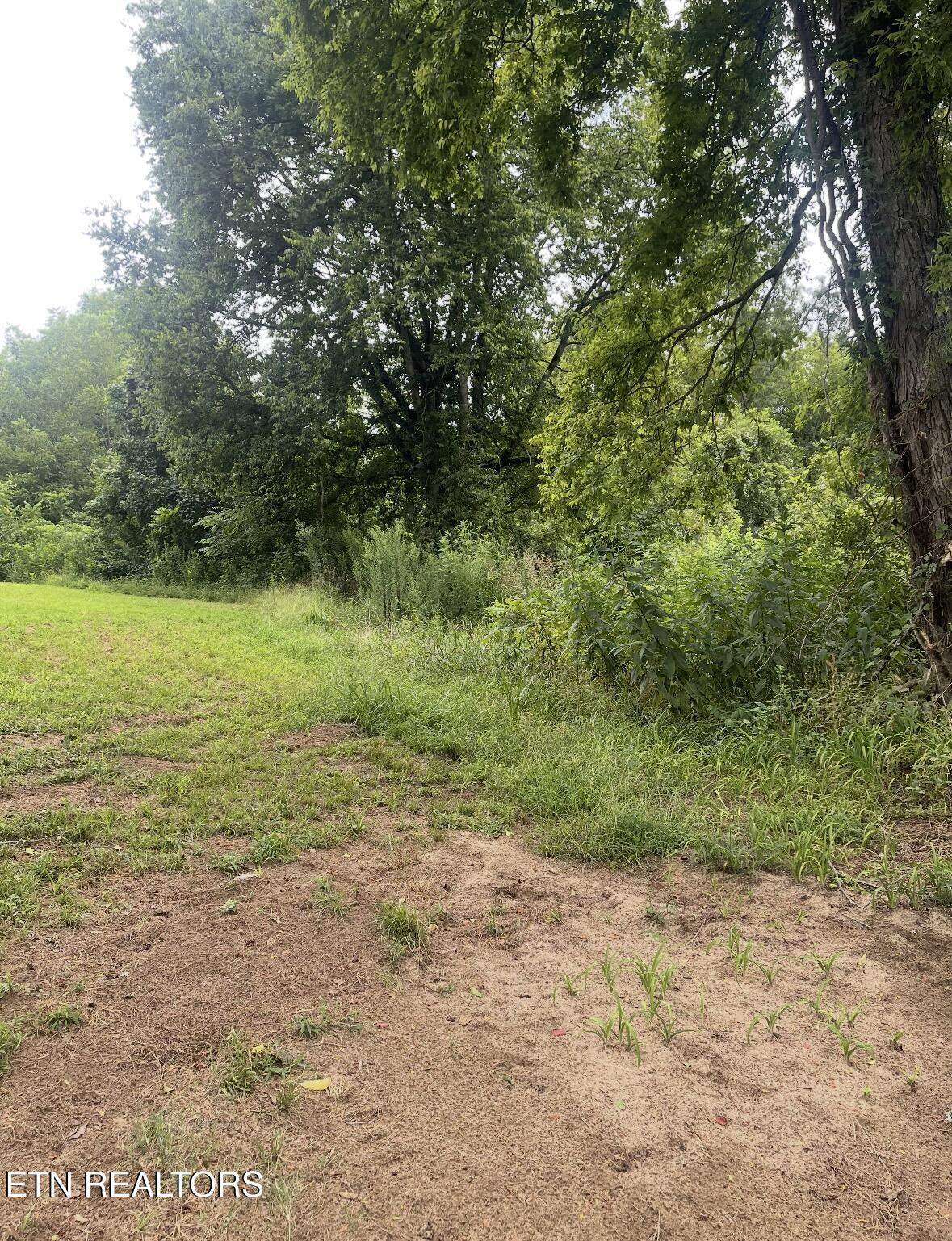1463 River Chase Way Newport TN 37821