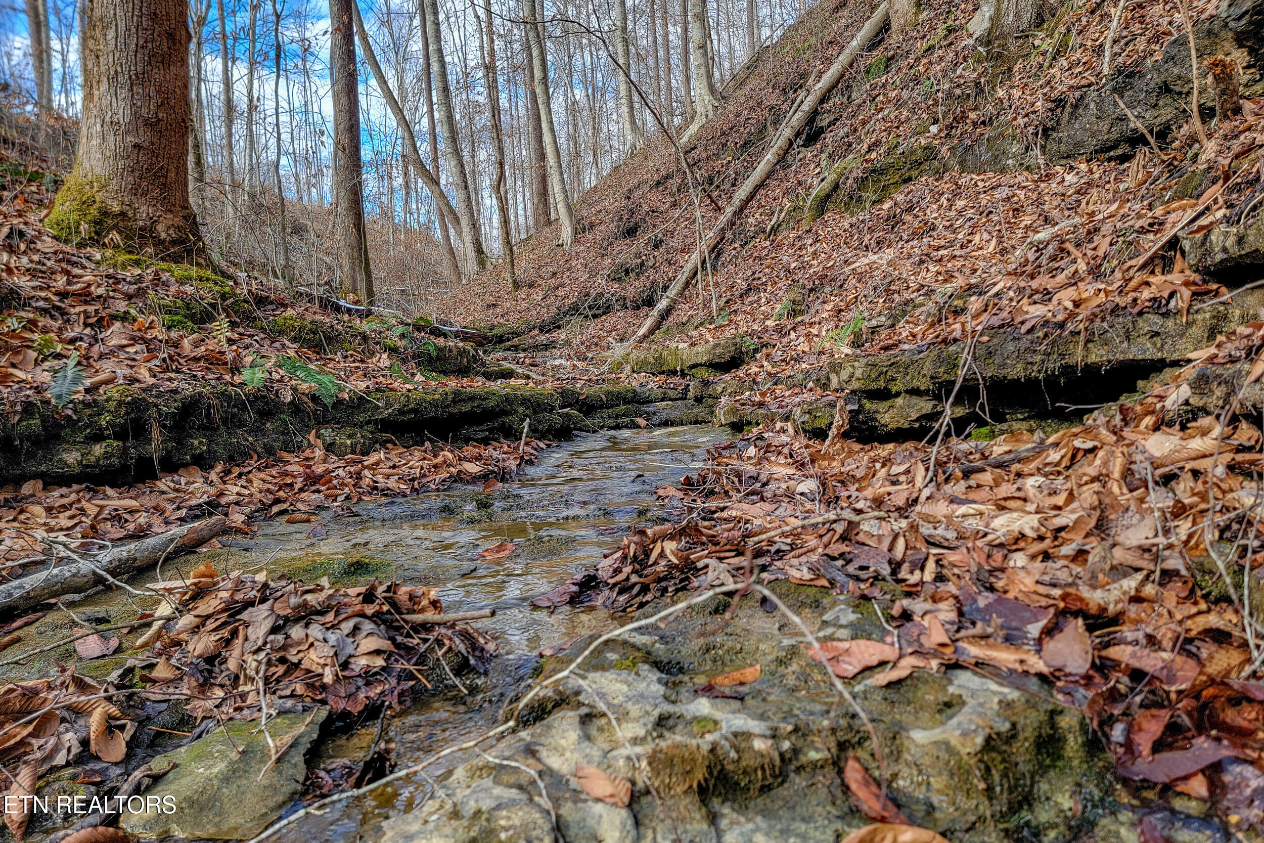 6.24 Acres Hutchins Bend Road Sparta TN 38583