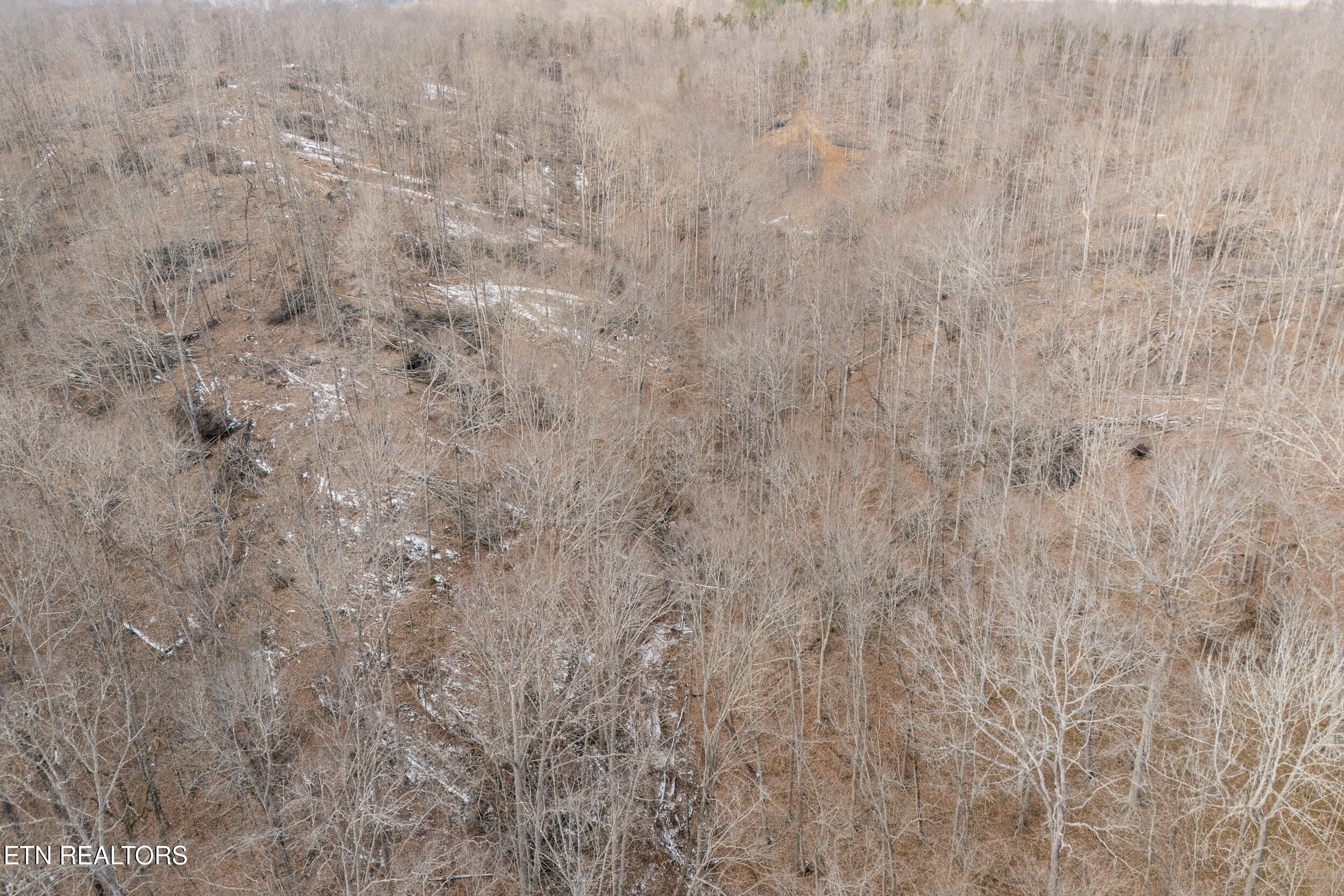 6.24 Acres Hutchins Bend Road Sparta TN 38583