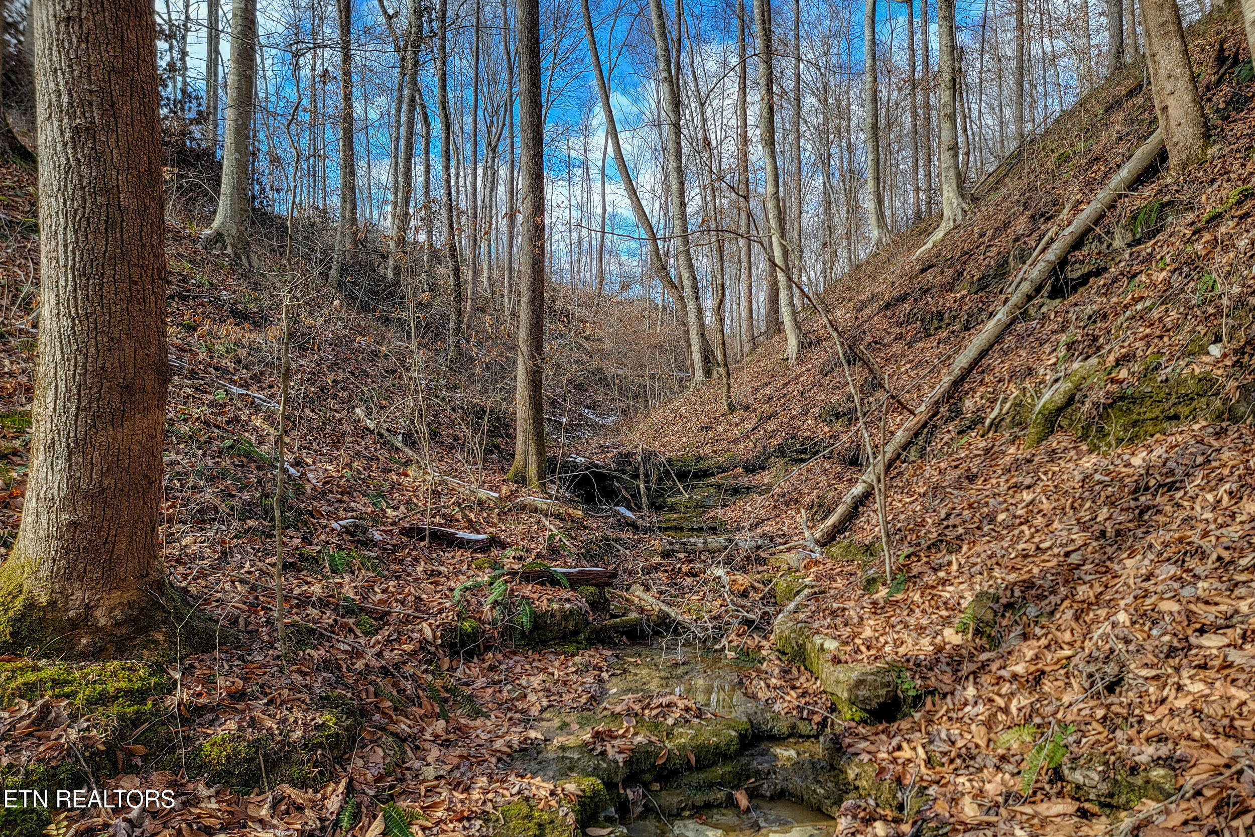 6.24 Acres Hutchins Bend Road Sparta TN 38583