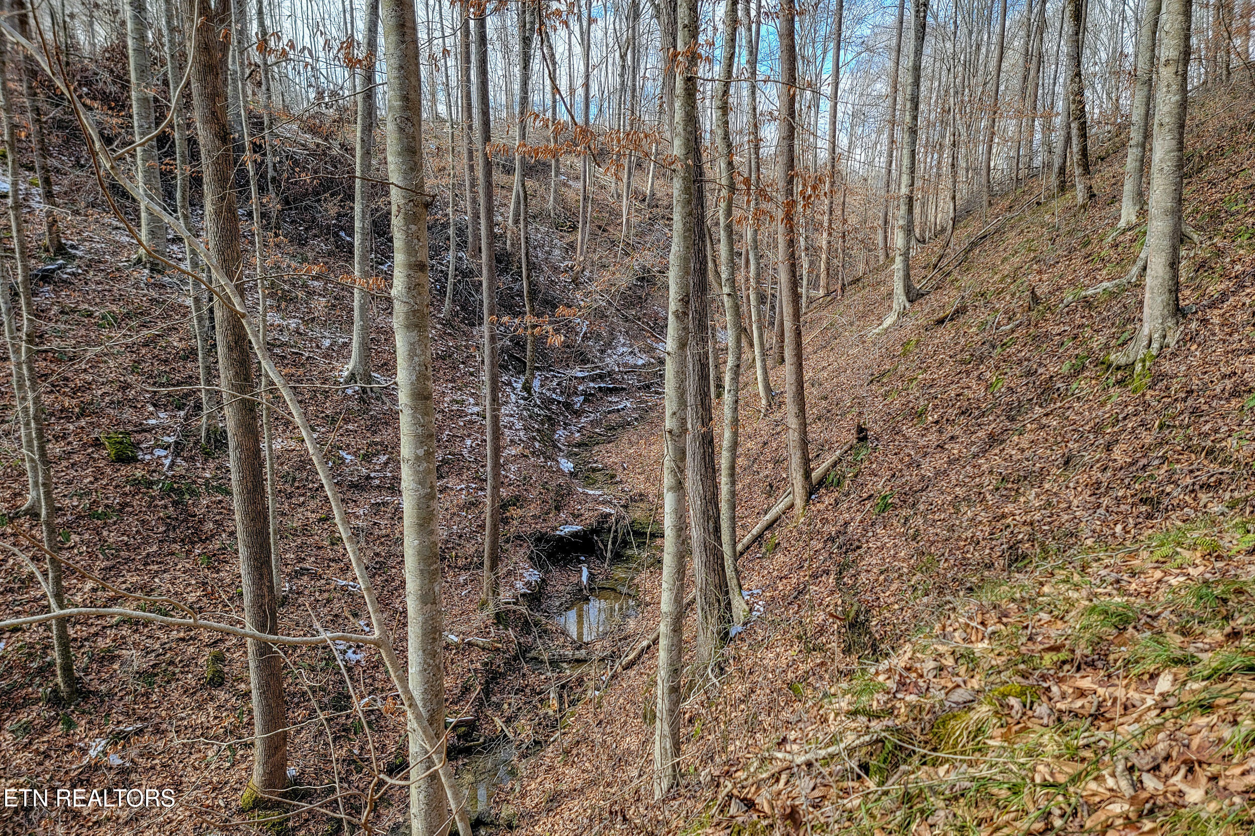 6.24 Acres Hutchins Bend Road Sparta TN 38583