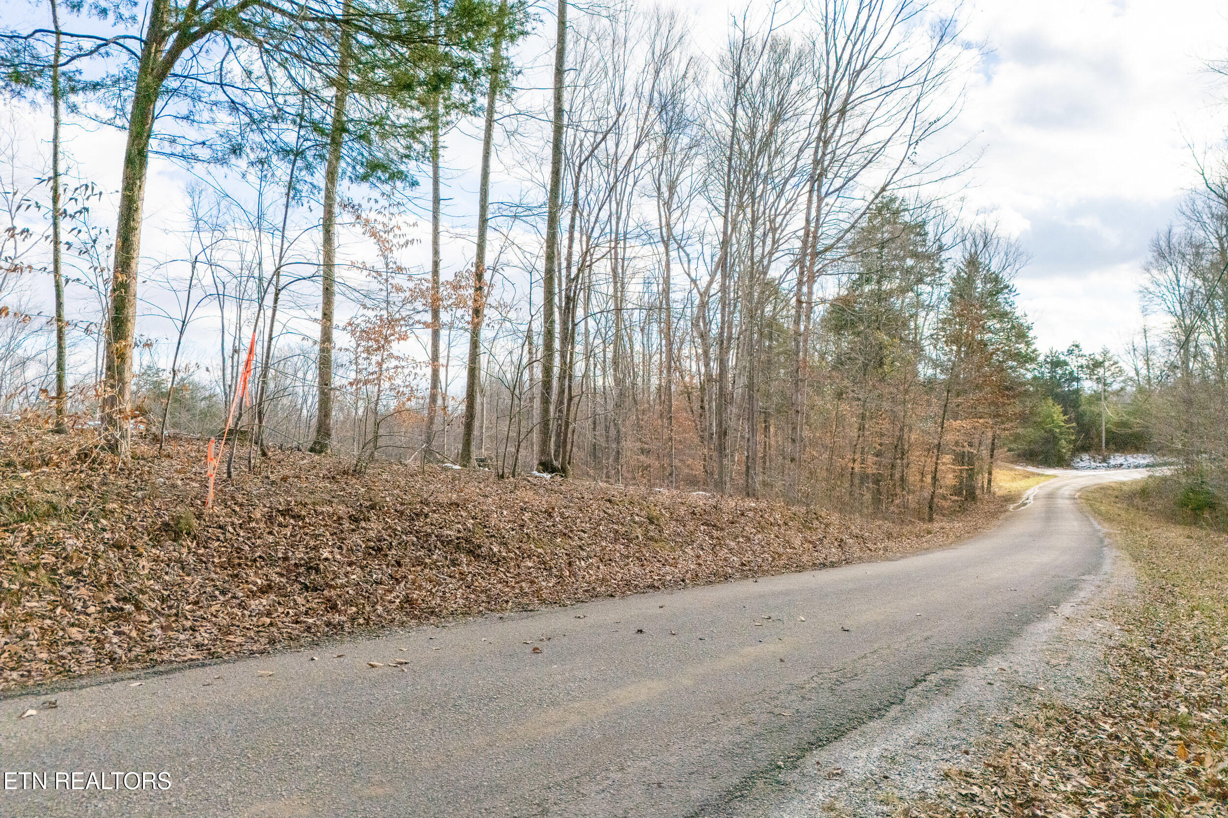 6.24 Acres Hutchins Bend Road Sparta TN 38583