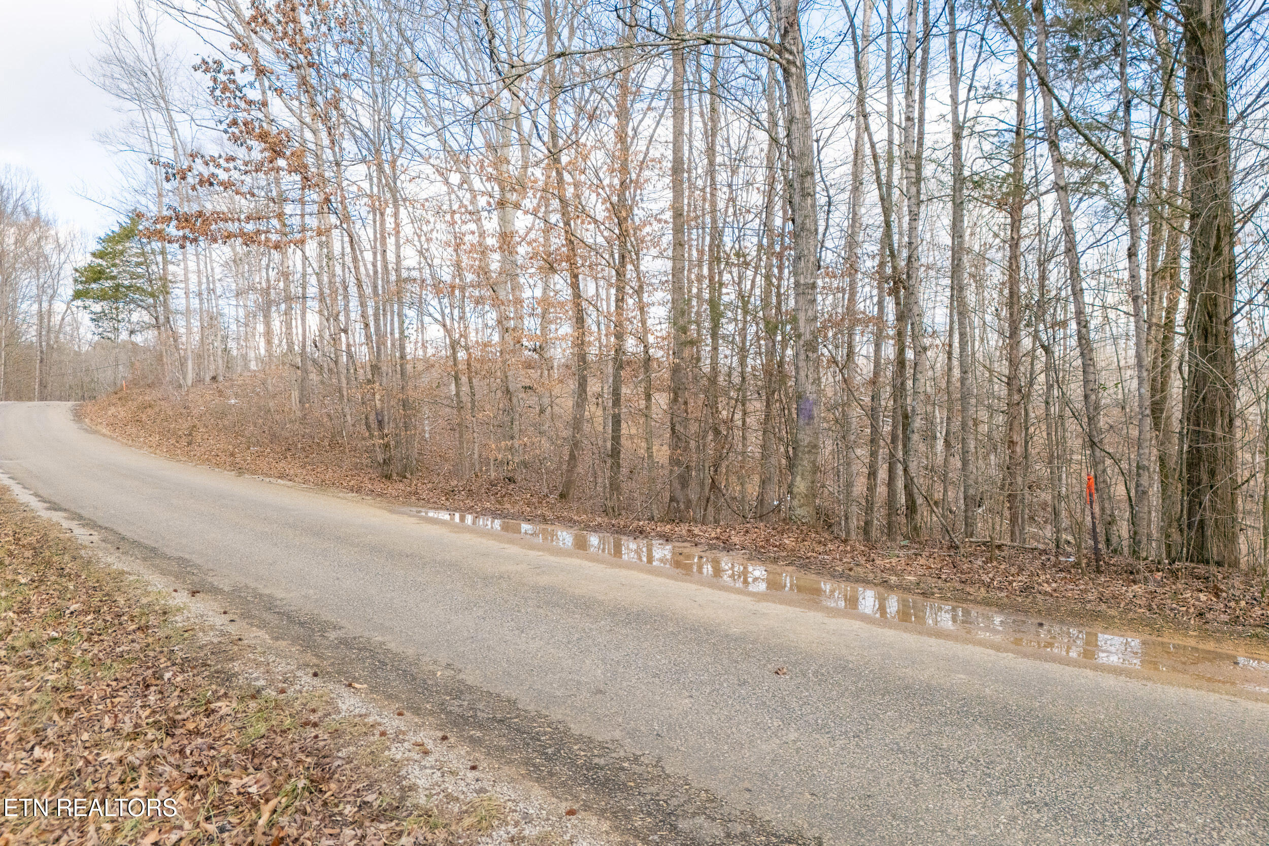 6.24 Acres Hutchins Bend Road Sparta TN 38583