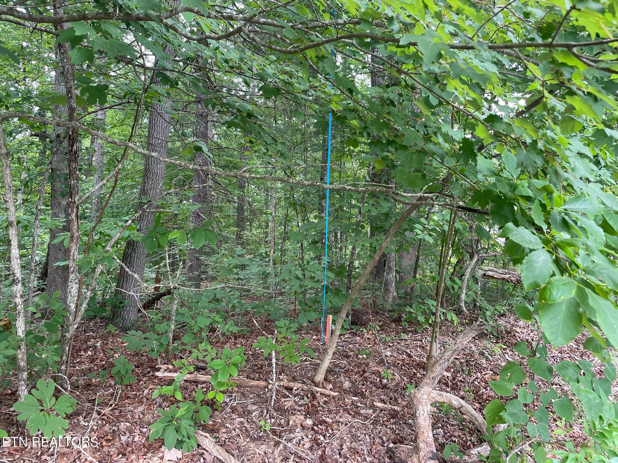 105 Peebles Road Crossville TN 38558