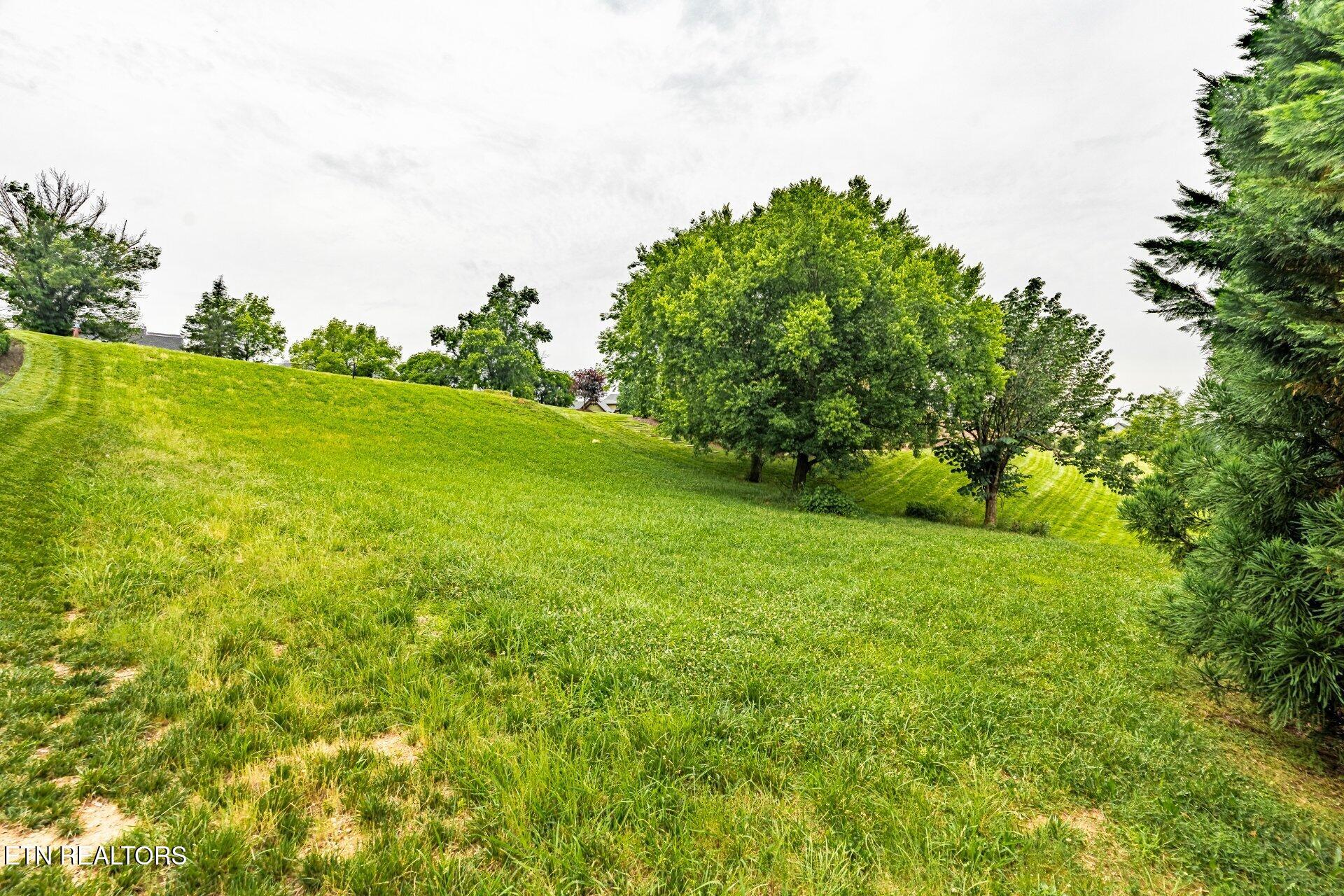1587 Eagle Point Drive Loudon TN 37774