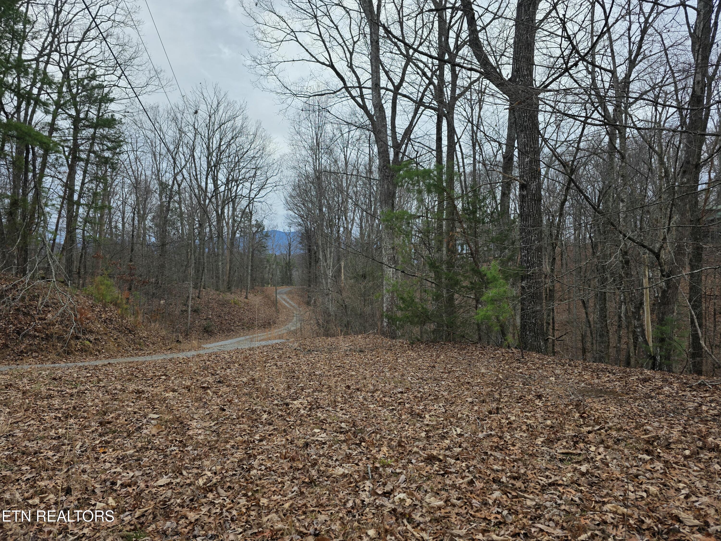 Lot 4 Deer Ridge Lane Sevierville TN 37876