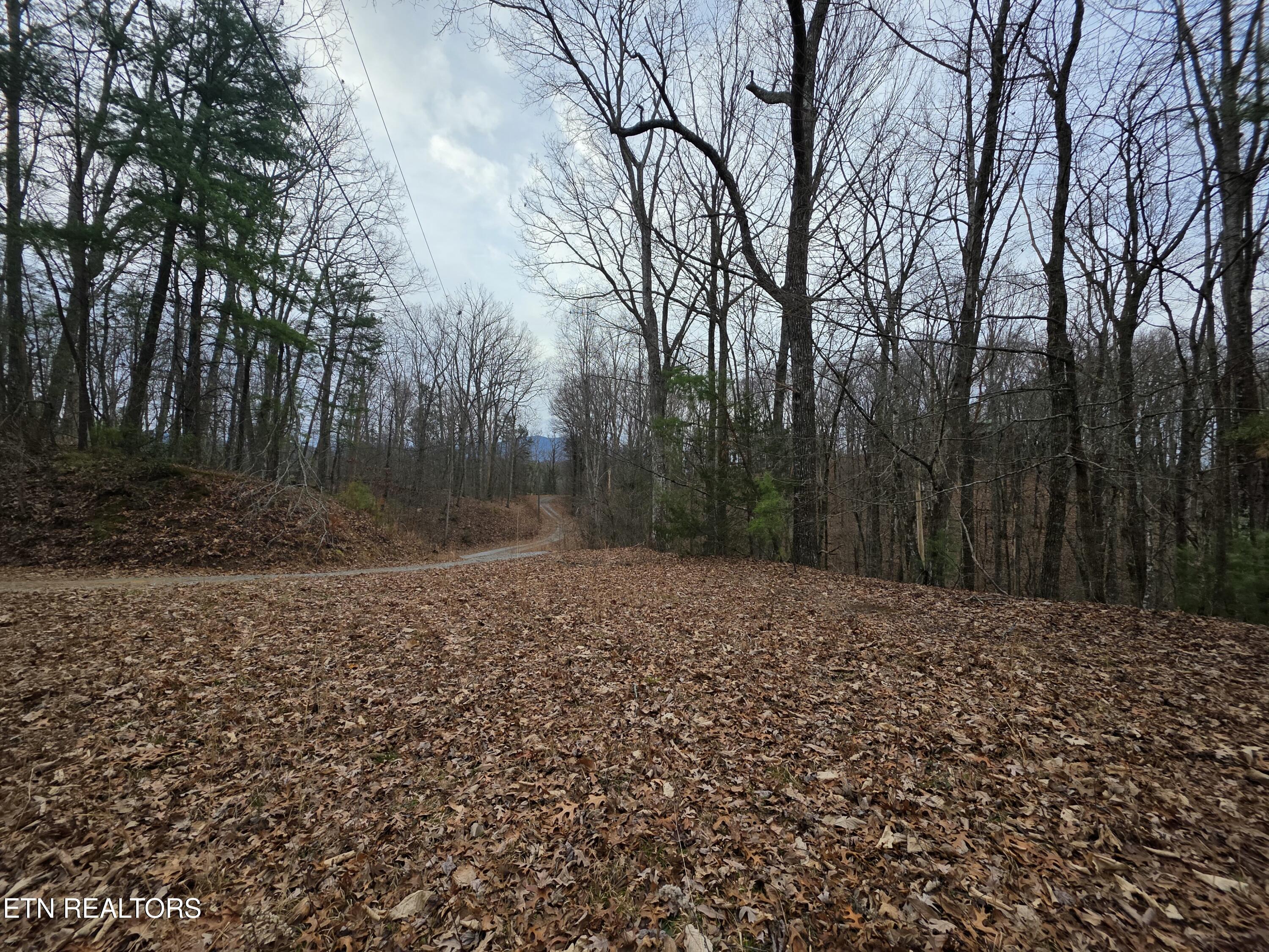 Lot 4 Deer Ridge Lane Sevierville TN 37876