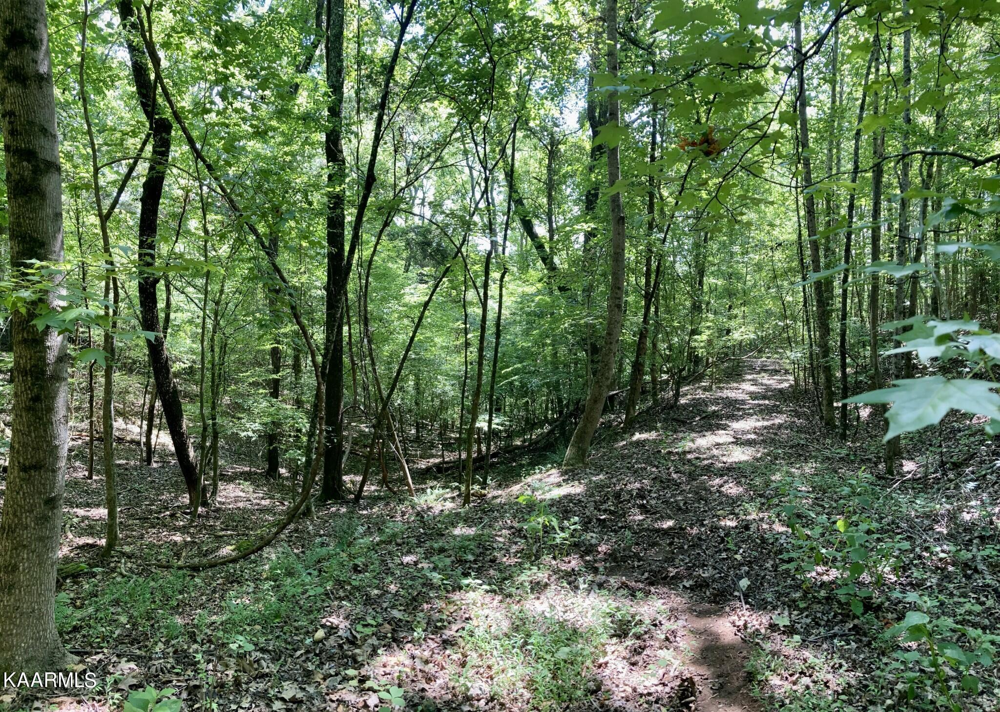 Lakewood Village Drive Spring City TN 37381
