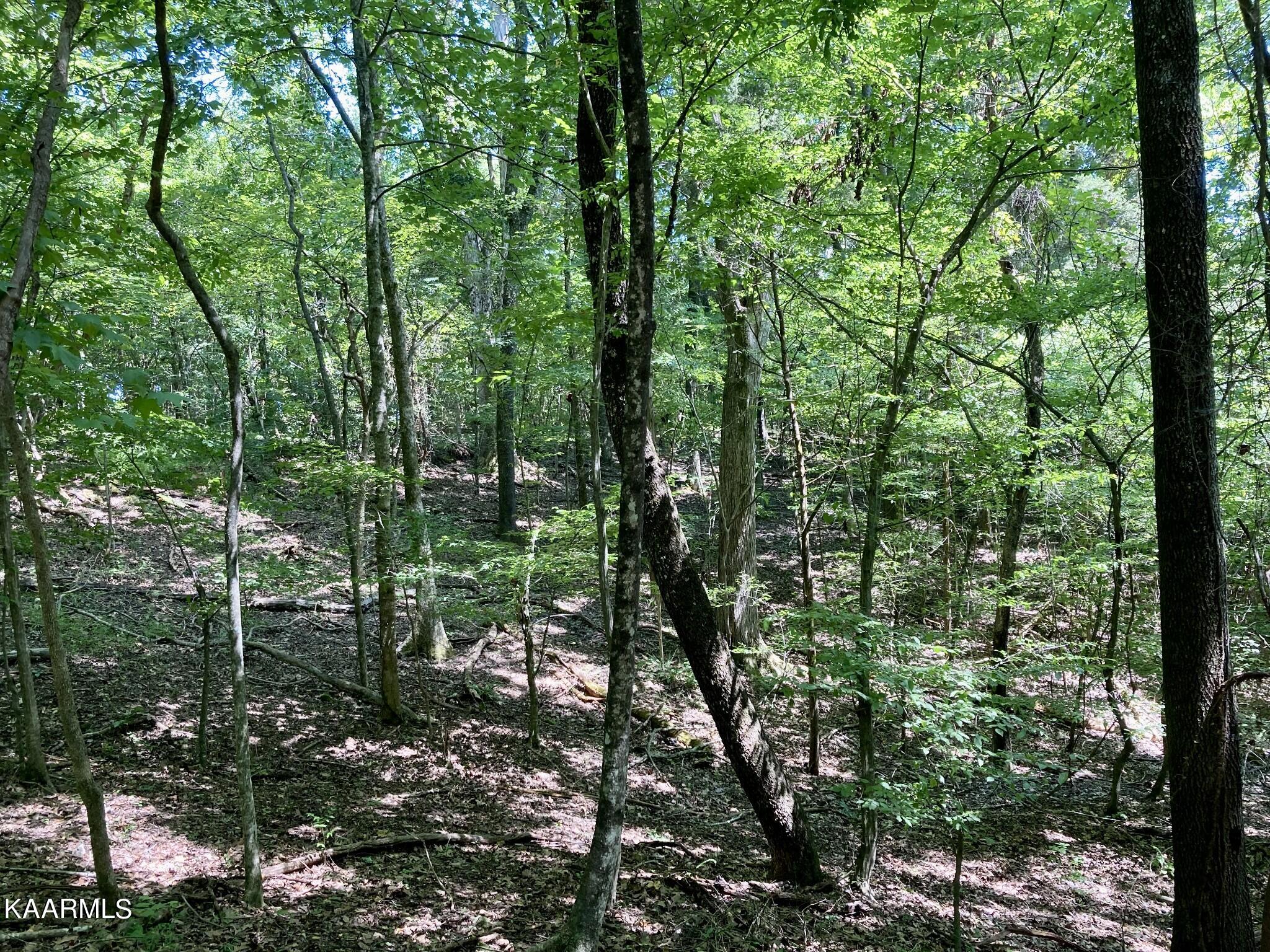 Lakewood Village Drive Spring City TN 37381