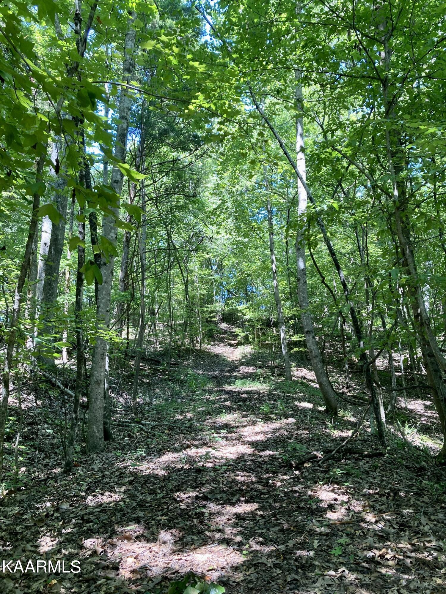 Lakewood Village Drive Spring City TN 37381