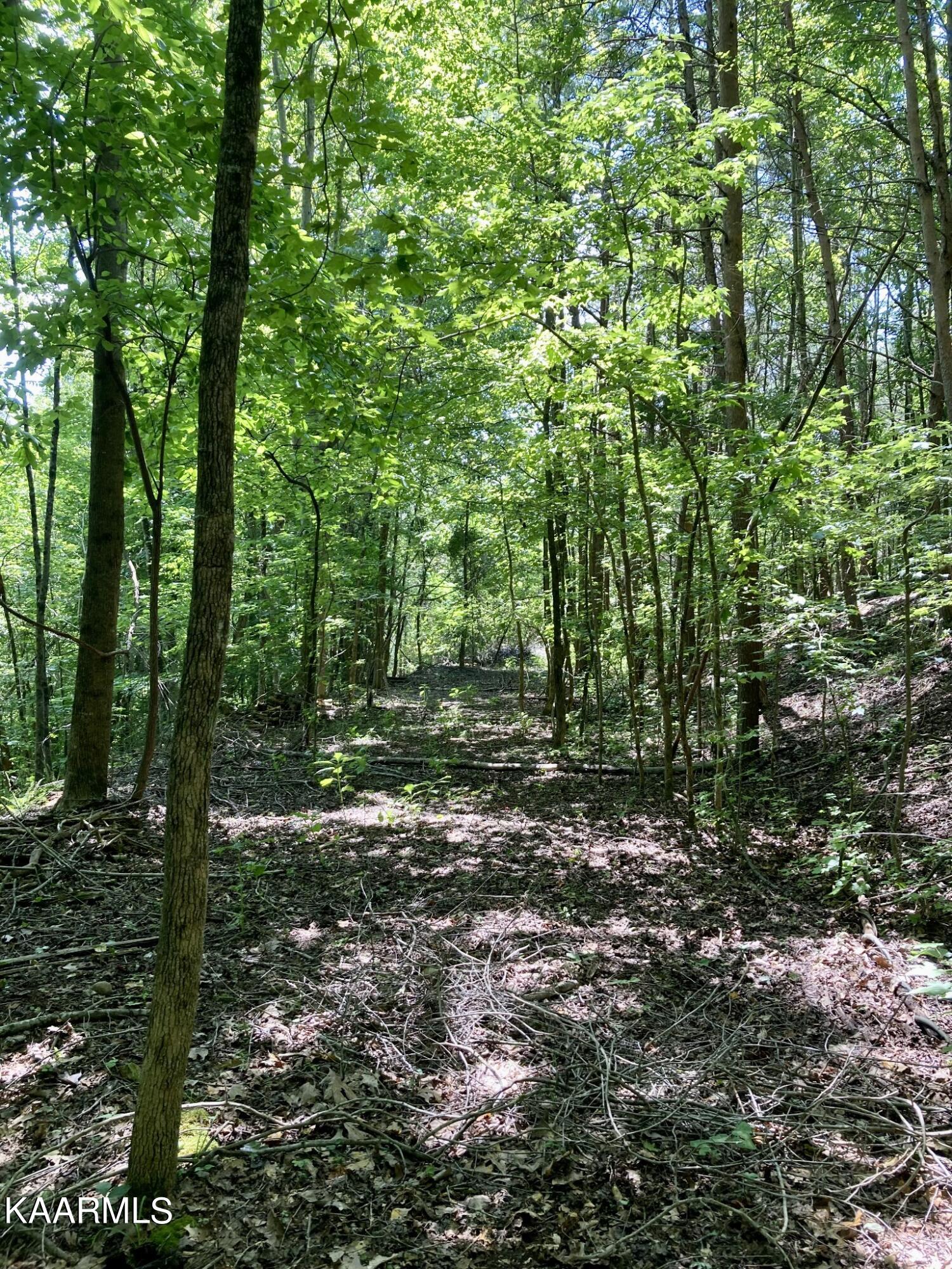 Lakewood Village Drive Spring City TN 37381