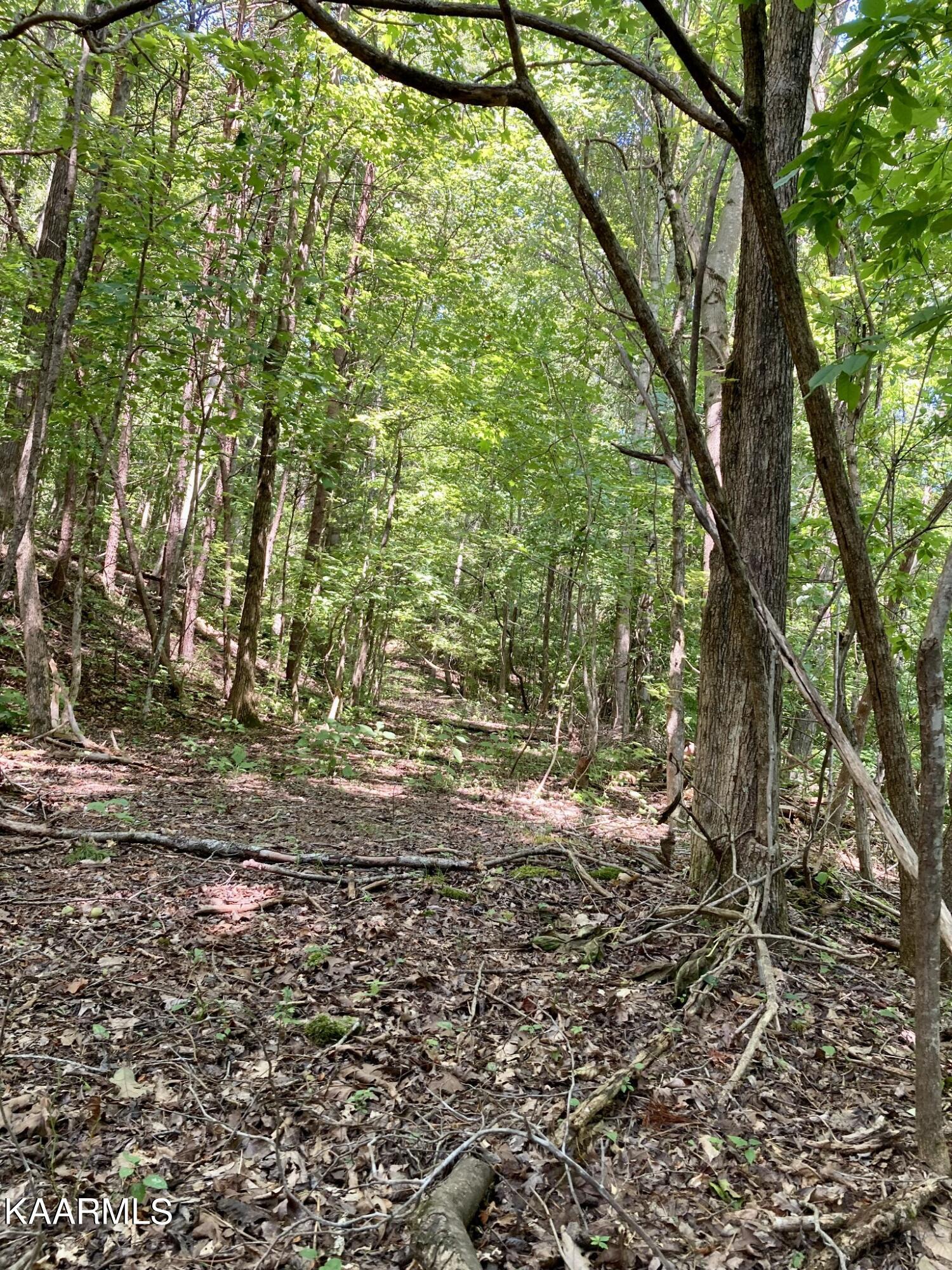 Lakewood Village Drive Spring City TN 37381