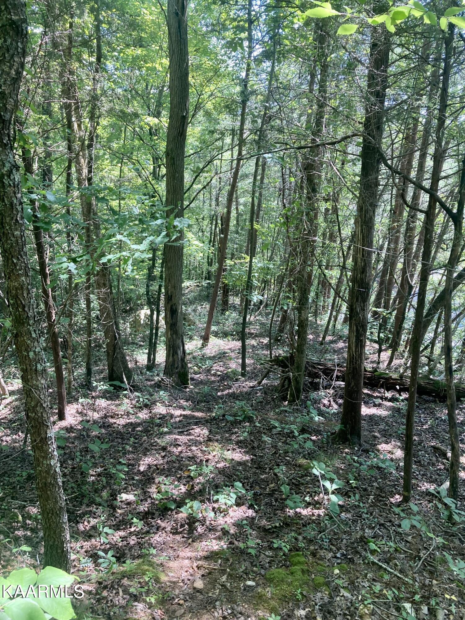 Lakewood Village Drive Spring City TN 37381