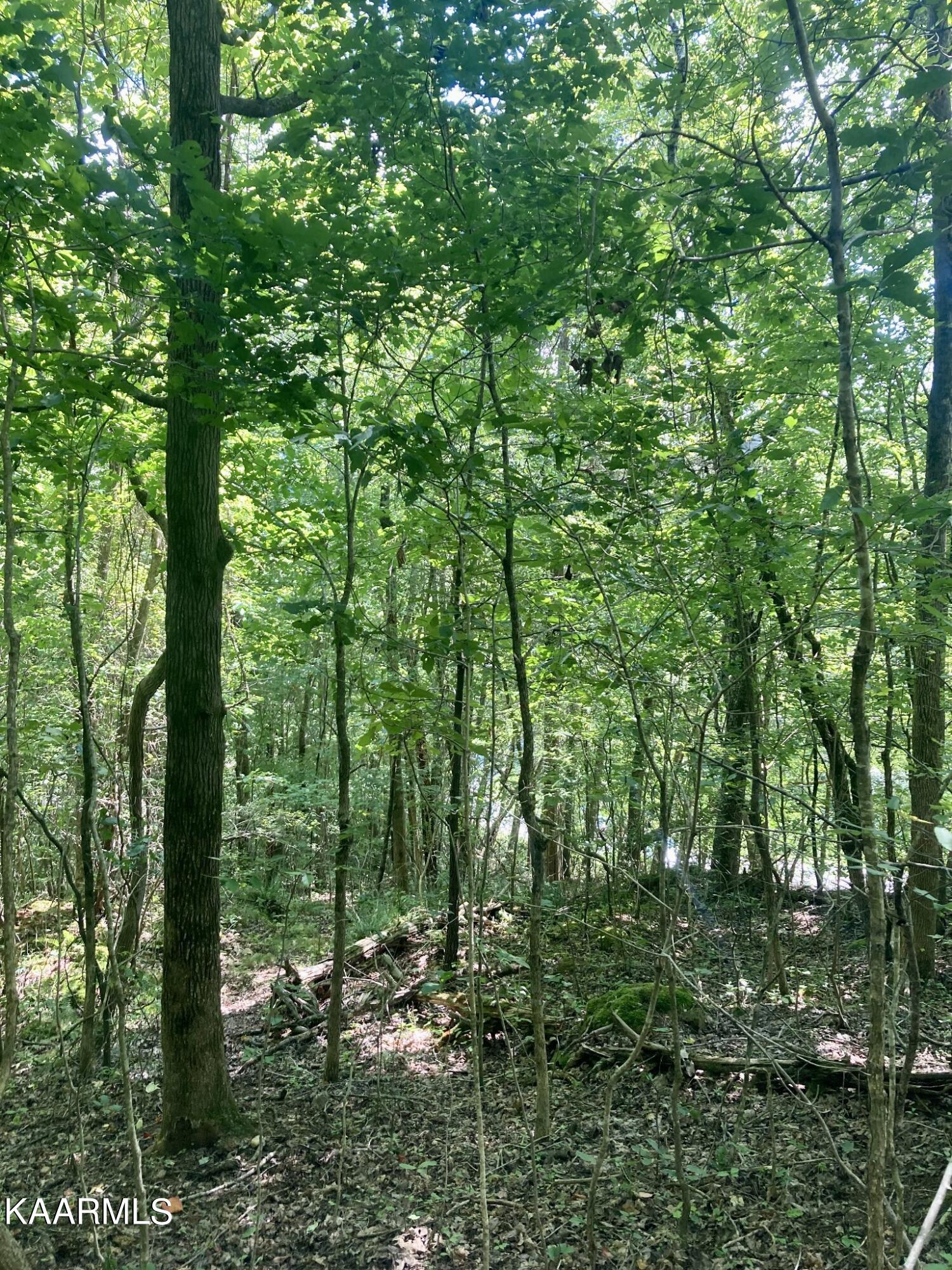 Lakewood Village Drive Spring City TN 37381
