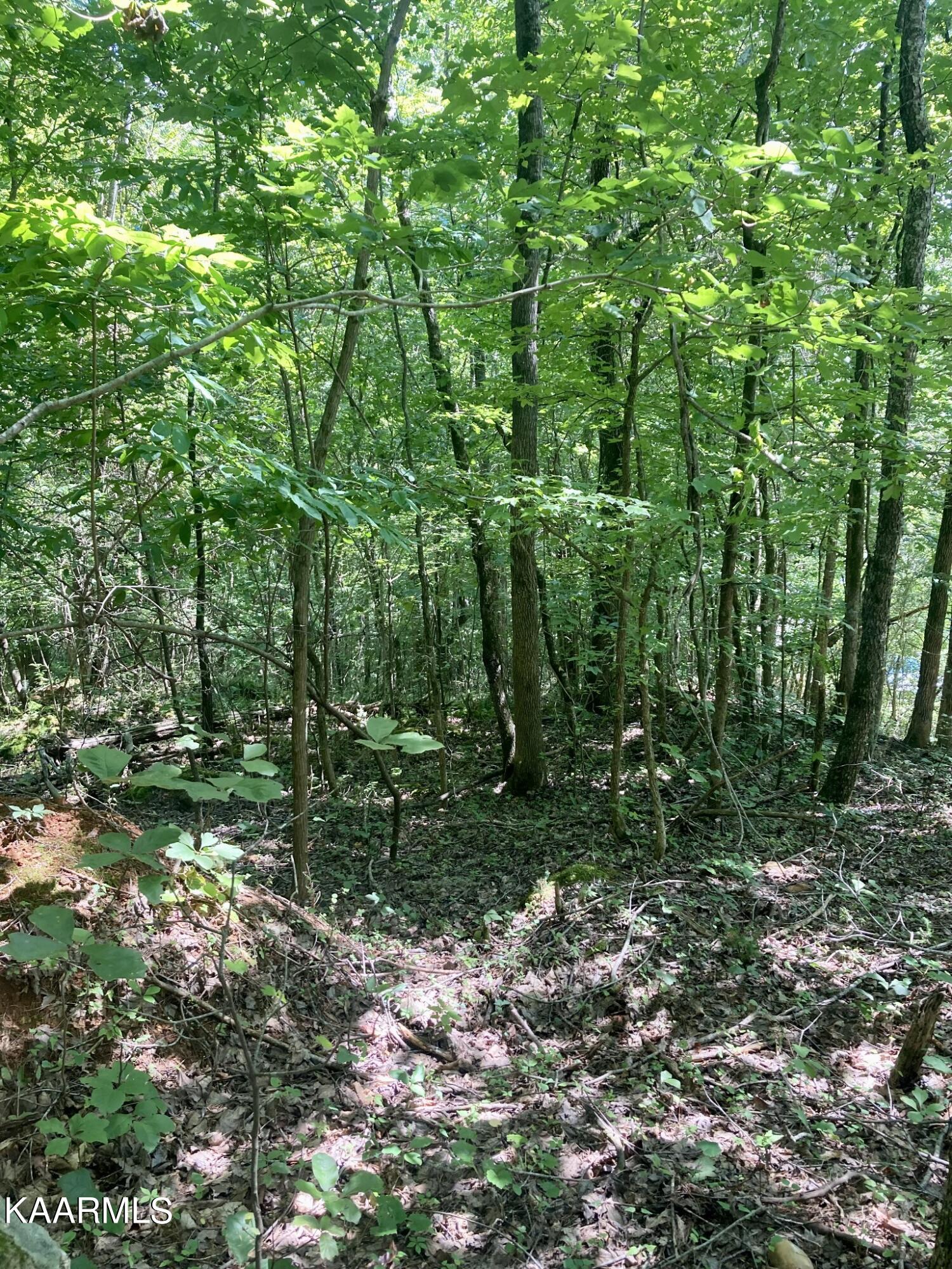 Lakewood Village Drive Spring City TN 37381