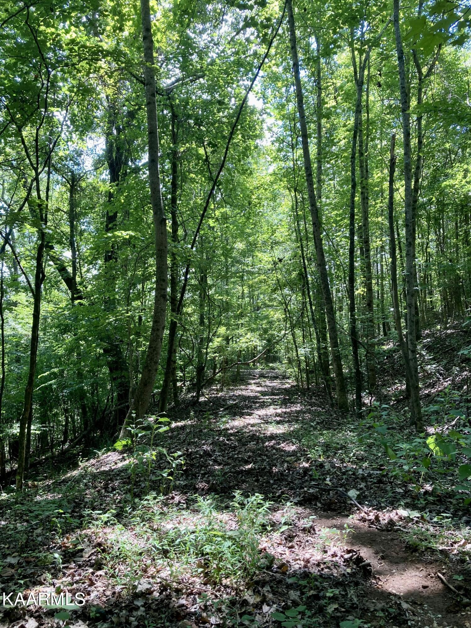 Lakewood Village Drive Spring City TN 37381