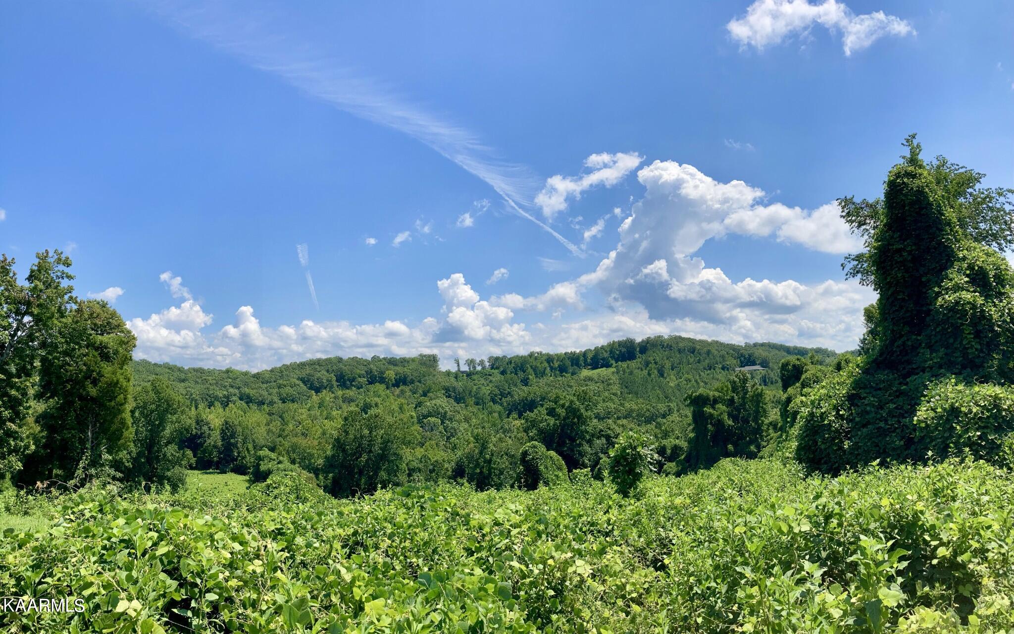 Lakewood Village Drive Spring City TN 37381