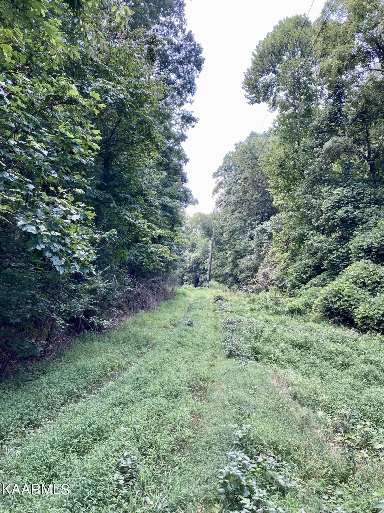 Lakewood Village Drive Spring City TN 37381