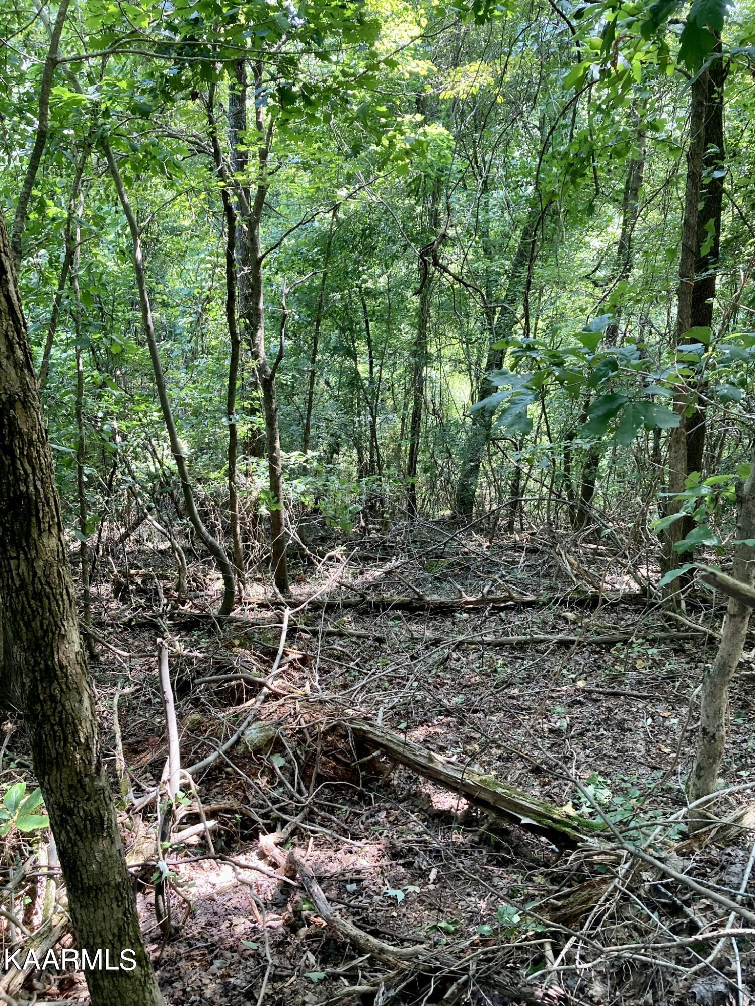 Lakewood Village Drive Spring City TN 37381
