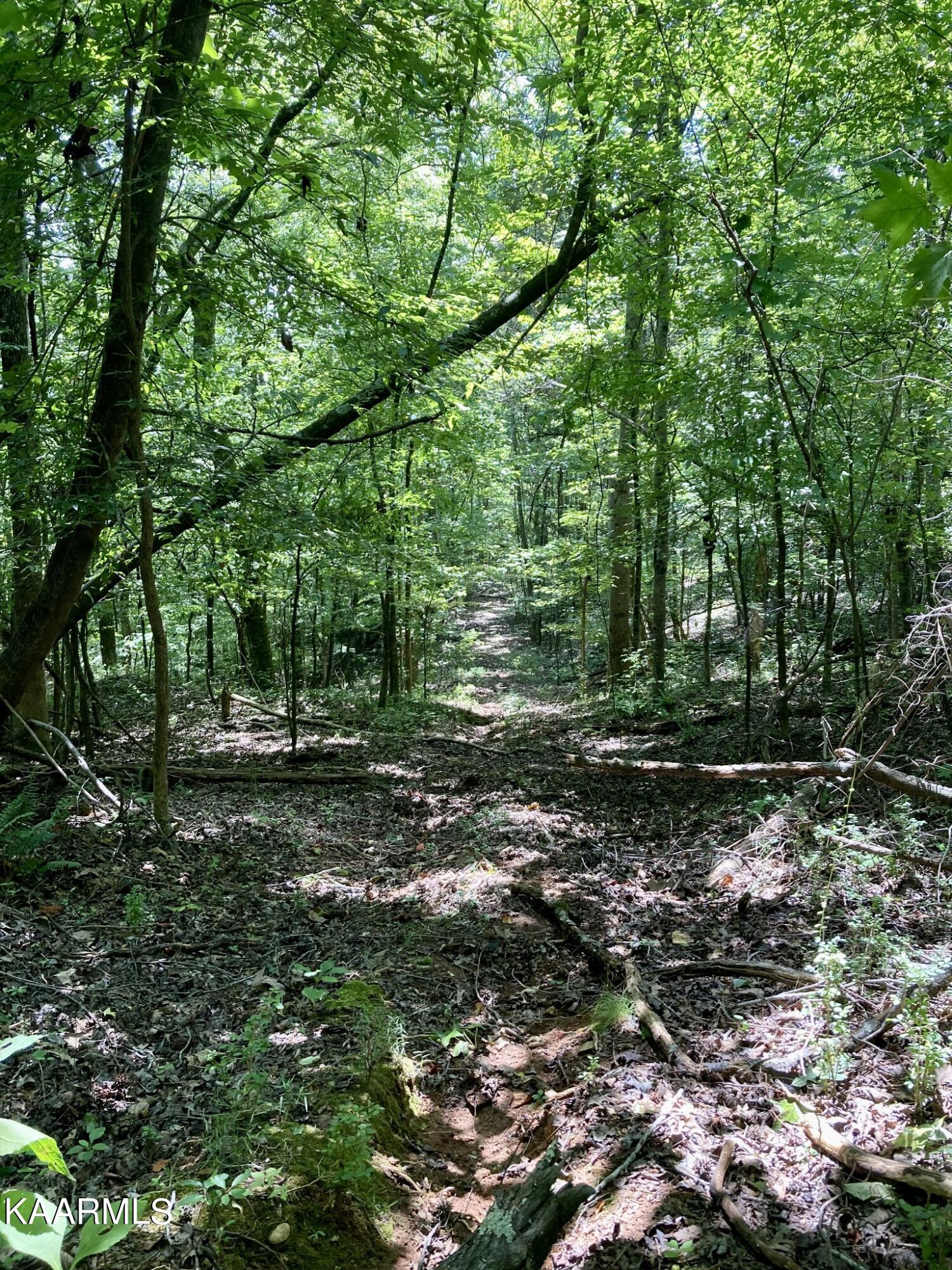 Lakewood Village Drive Spring City TN 37381