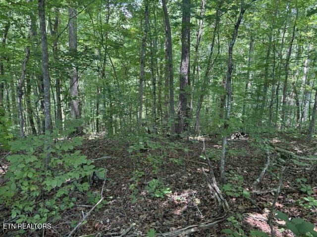 Lot 4 Hackworth Road Knoxville TN 37931