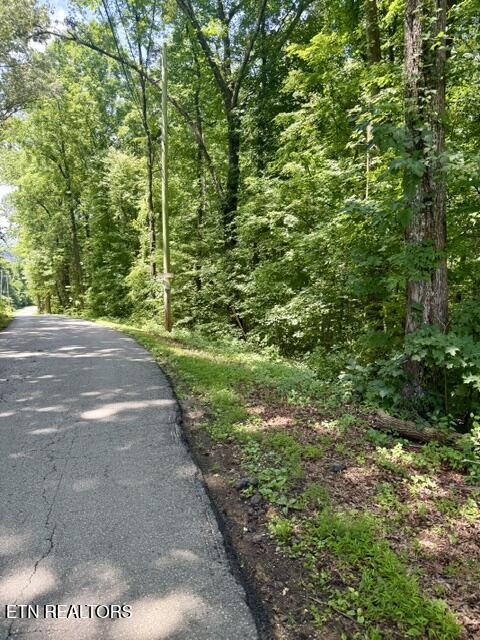 Lot 4 Hackworth Road Knoxville TN 37931