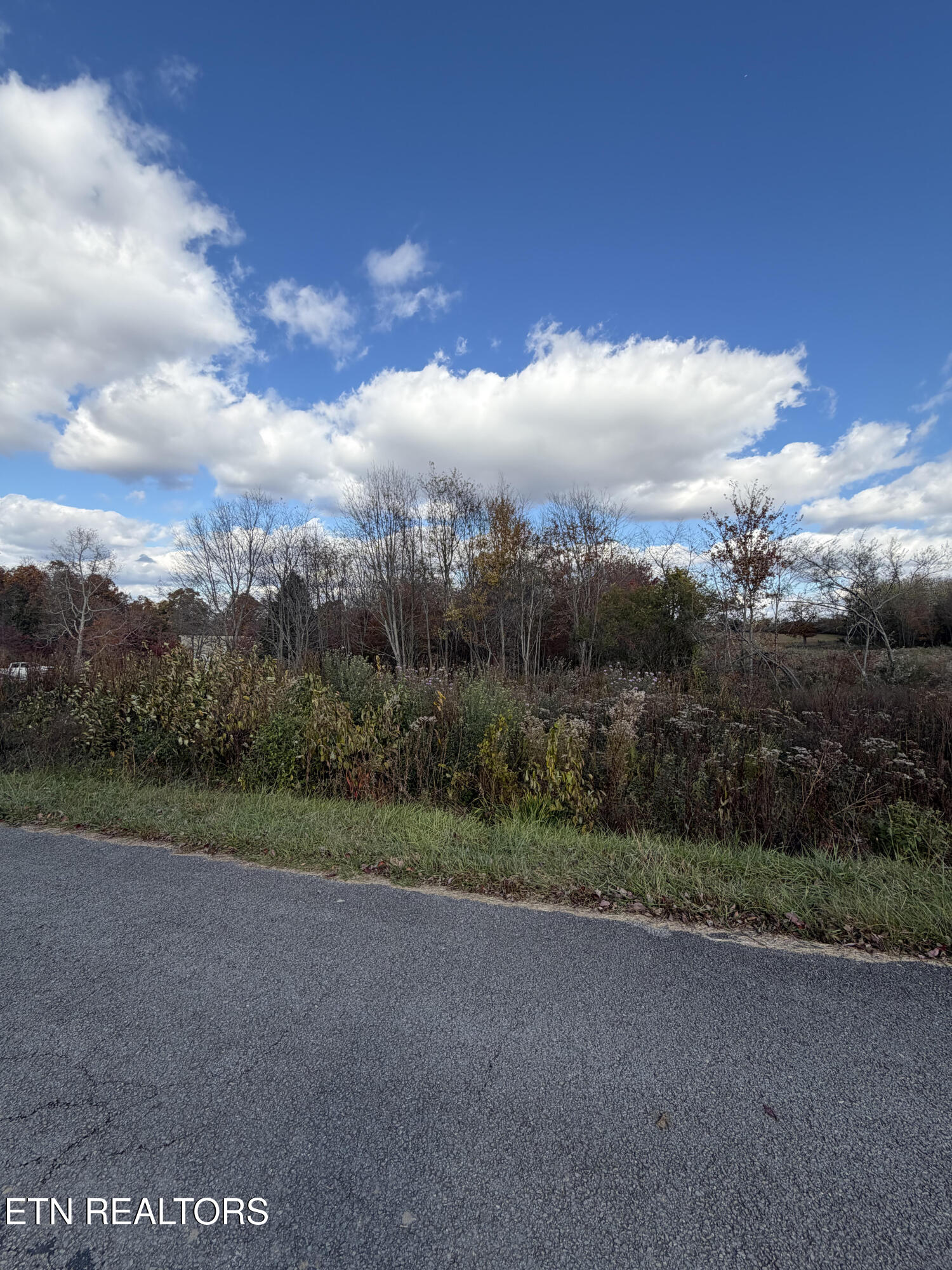 Woodgate Drive Crossville TN 38558