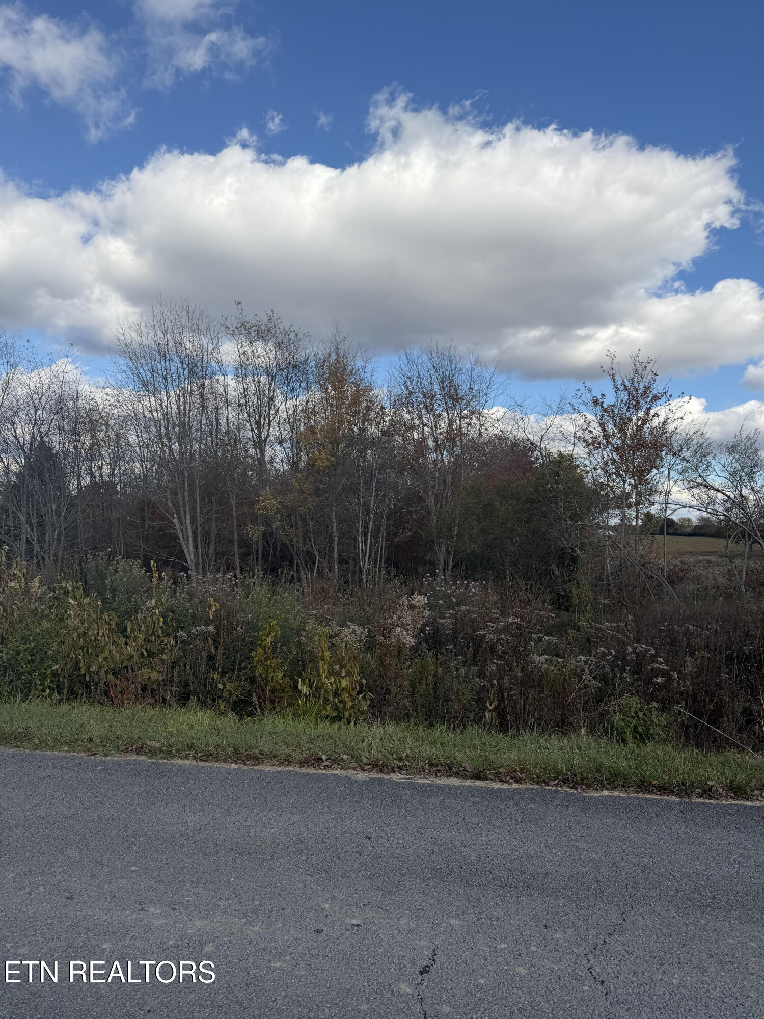 Woodgate Drive Crossville TN 38558