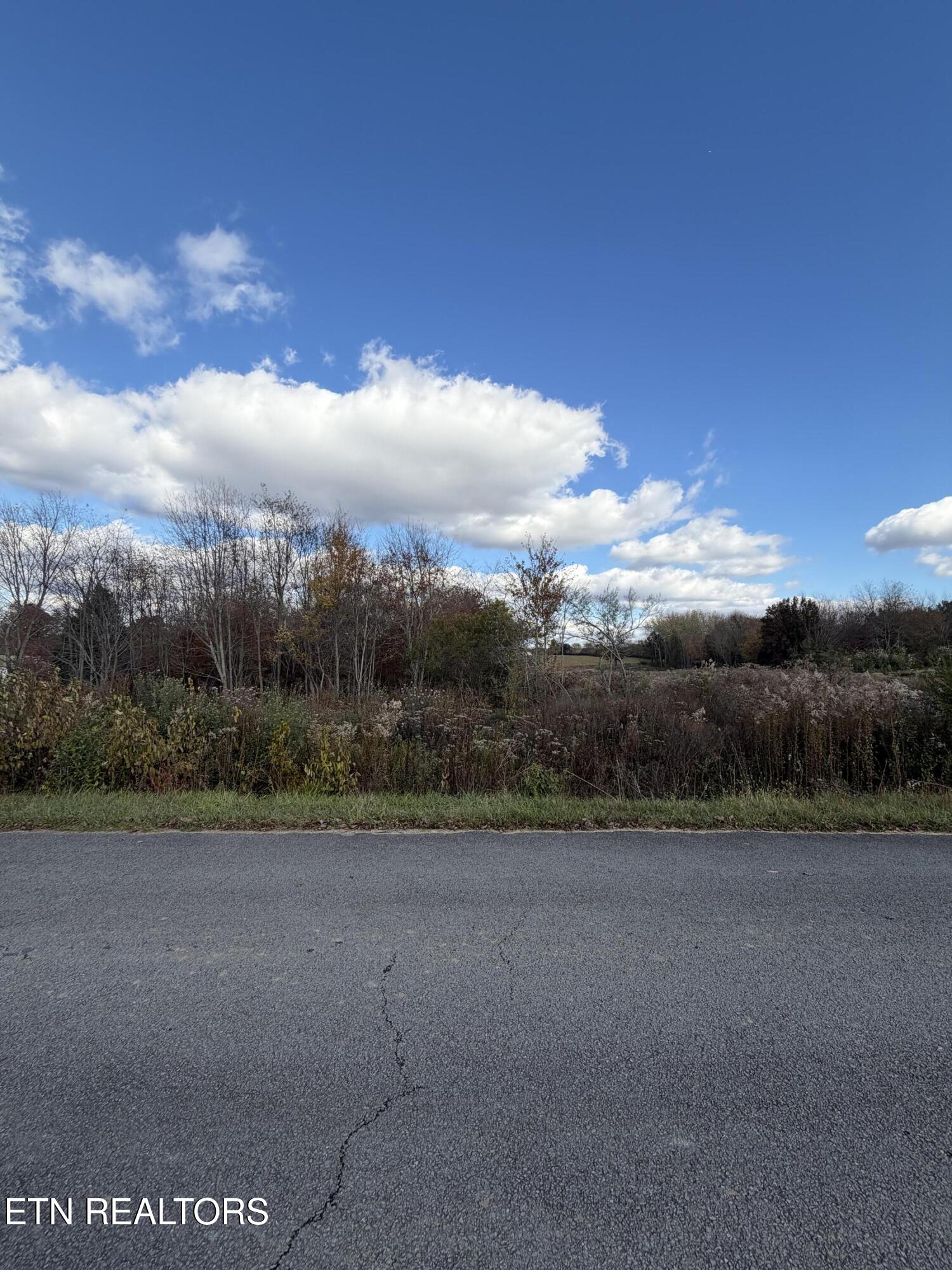 Woodgate Drive Crossville TN 38558