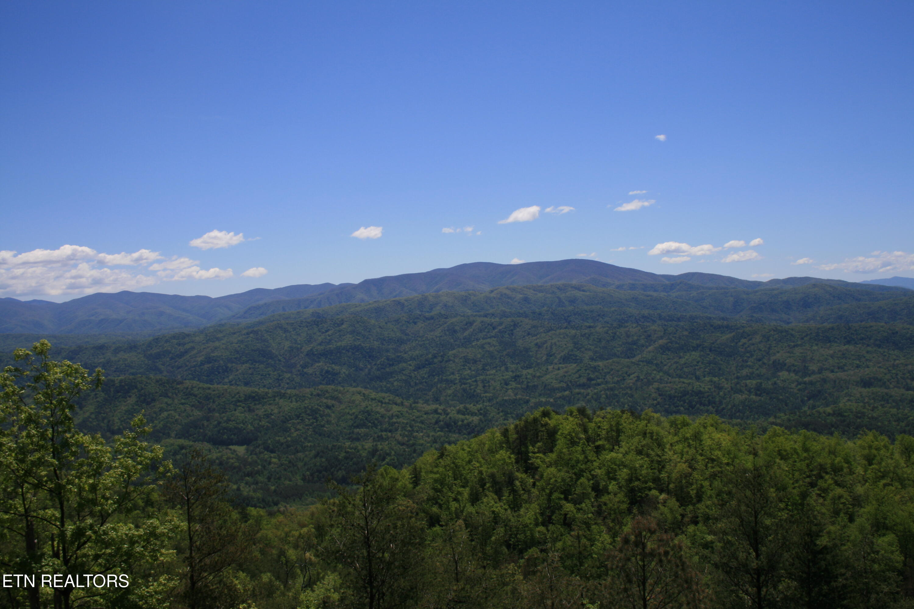 Tract 29r3 Chilhowee Mountain Trail Maryville TN 37803
