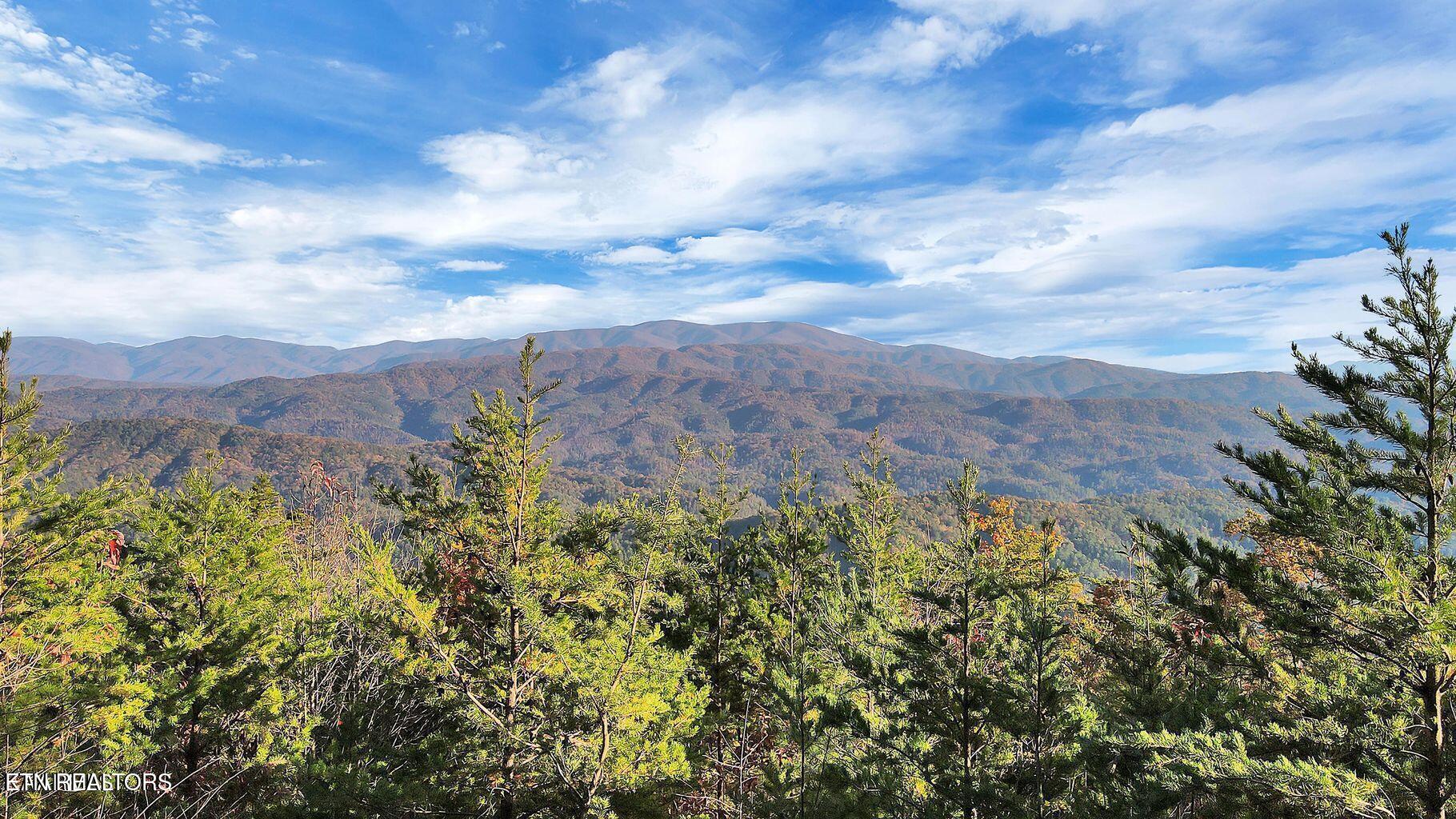 Tract 29r3 Chilhowee Mountain Trail Maryville TN 37803