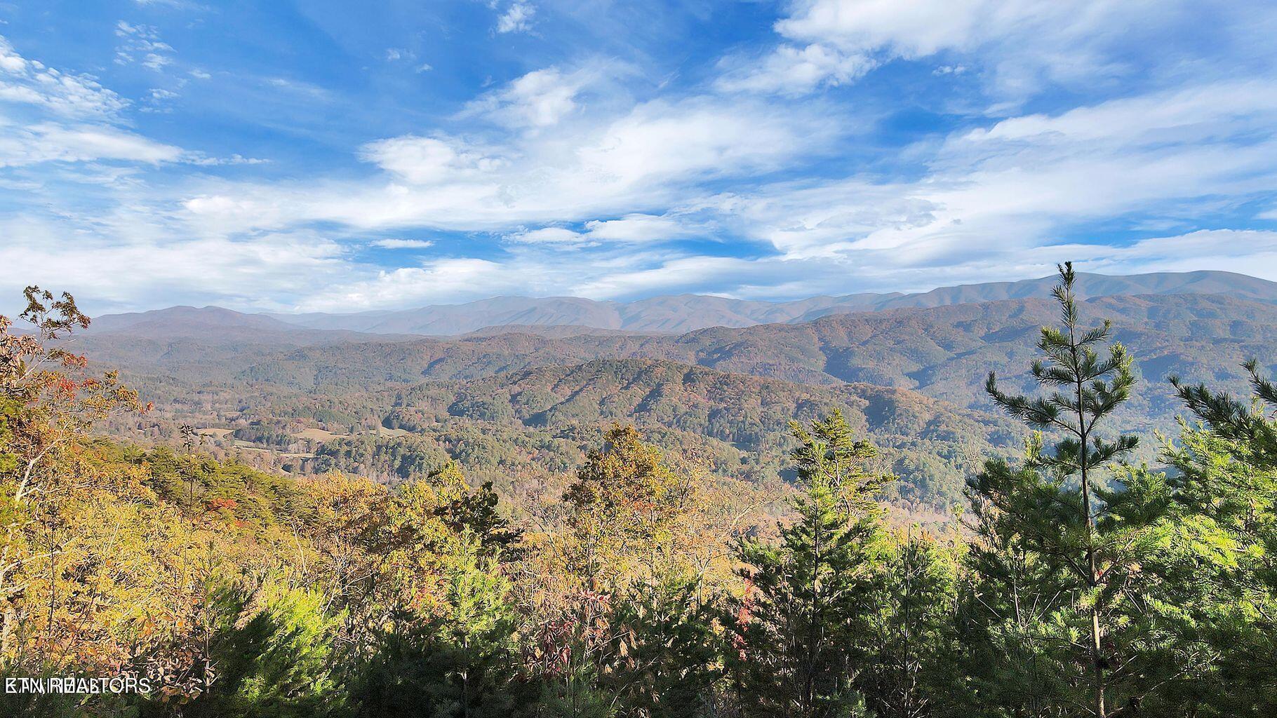 Tract 29r3 Chilhowee Mountain Trail Maryville TN 37803