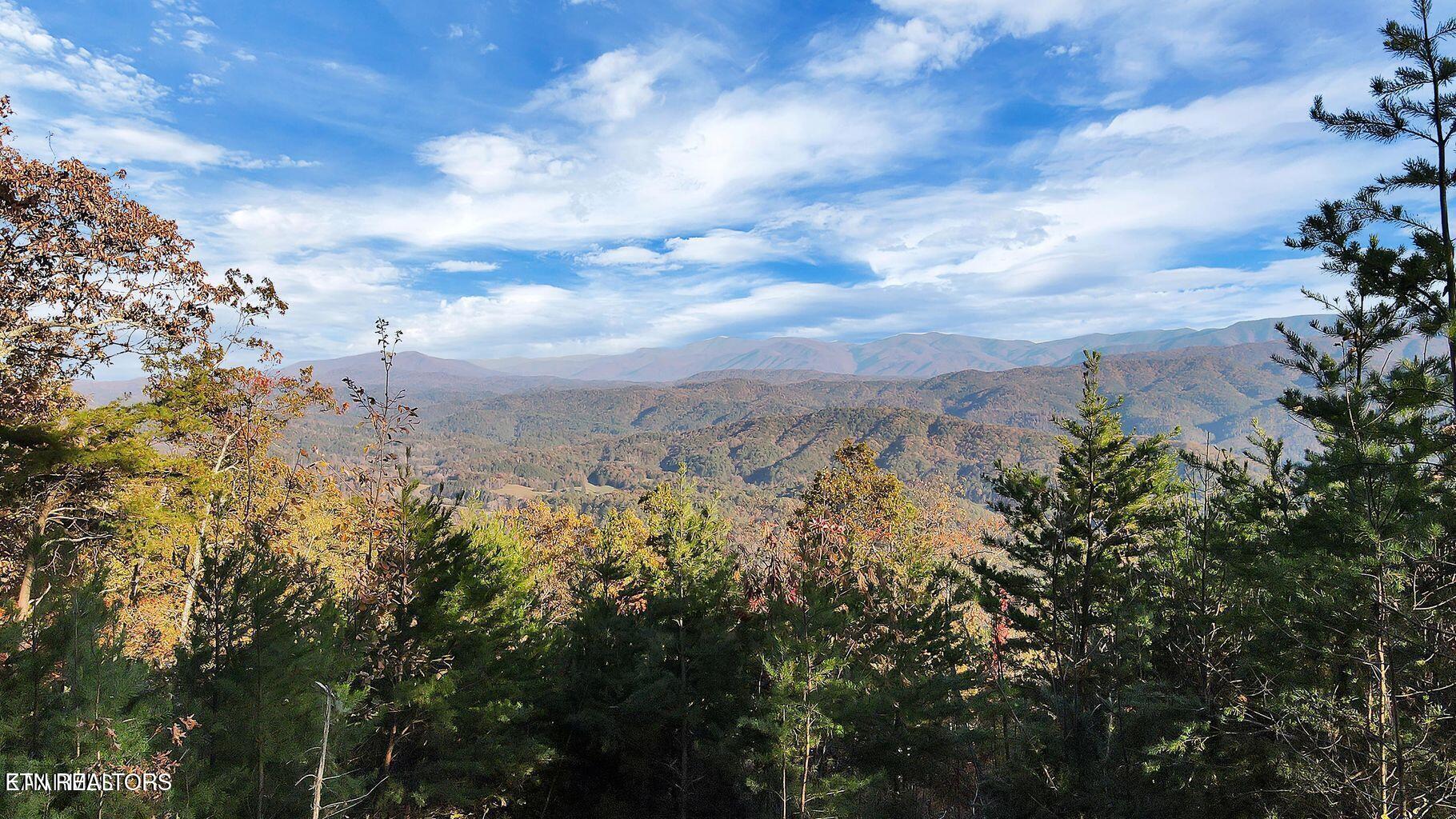 Tract 29r3 Chilhowee Mountain Trail Maryville TN 37803