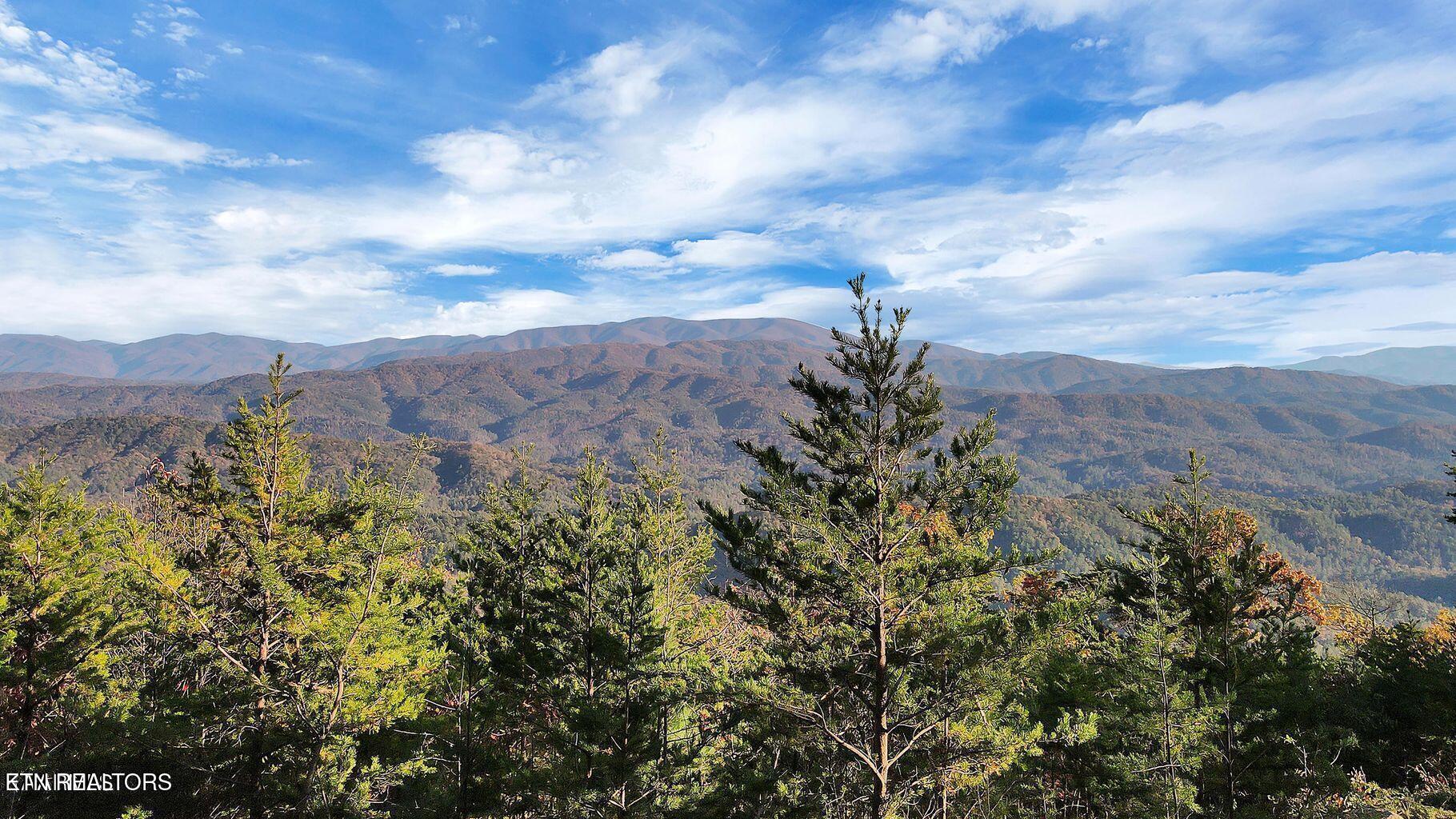Tract 29r3 Chilhowee Mountain Trail Maryville TN 37803