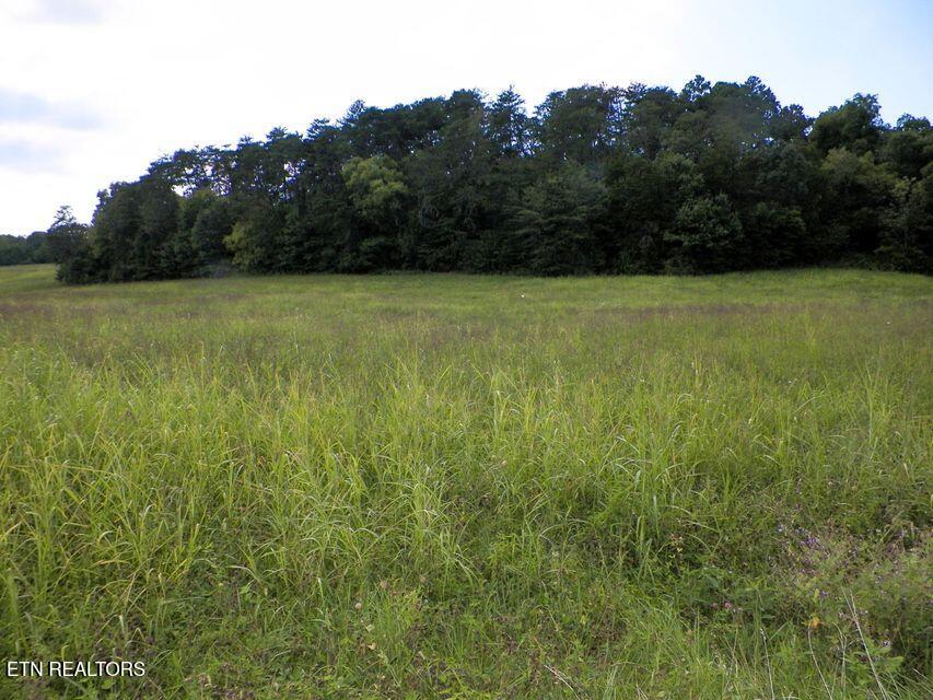 Newport Highway Sevierville TN 37876
