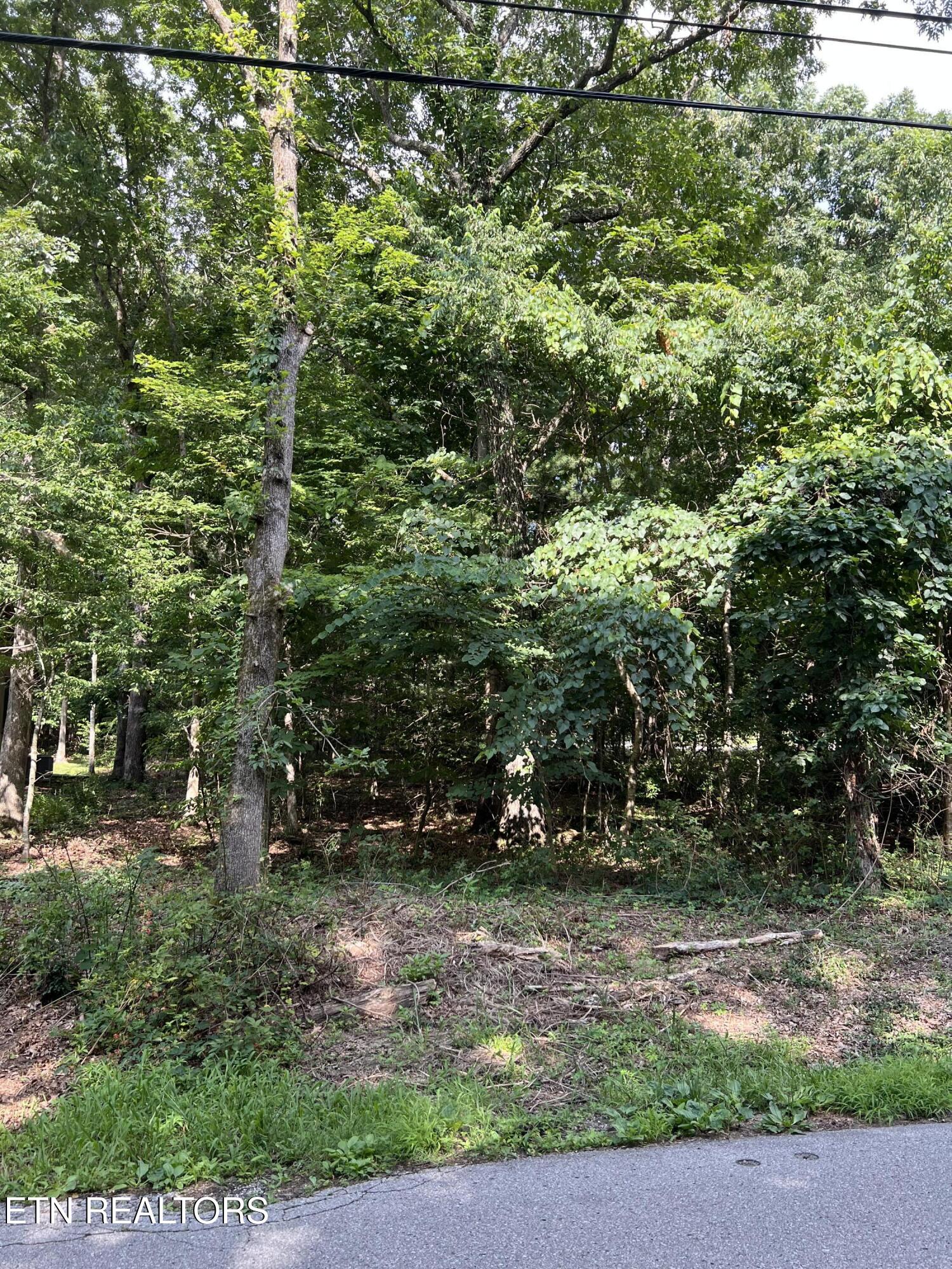 102 Lakeside Drive Crossville TN 38558