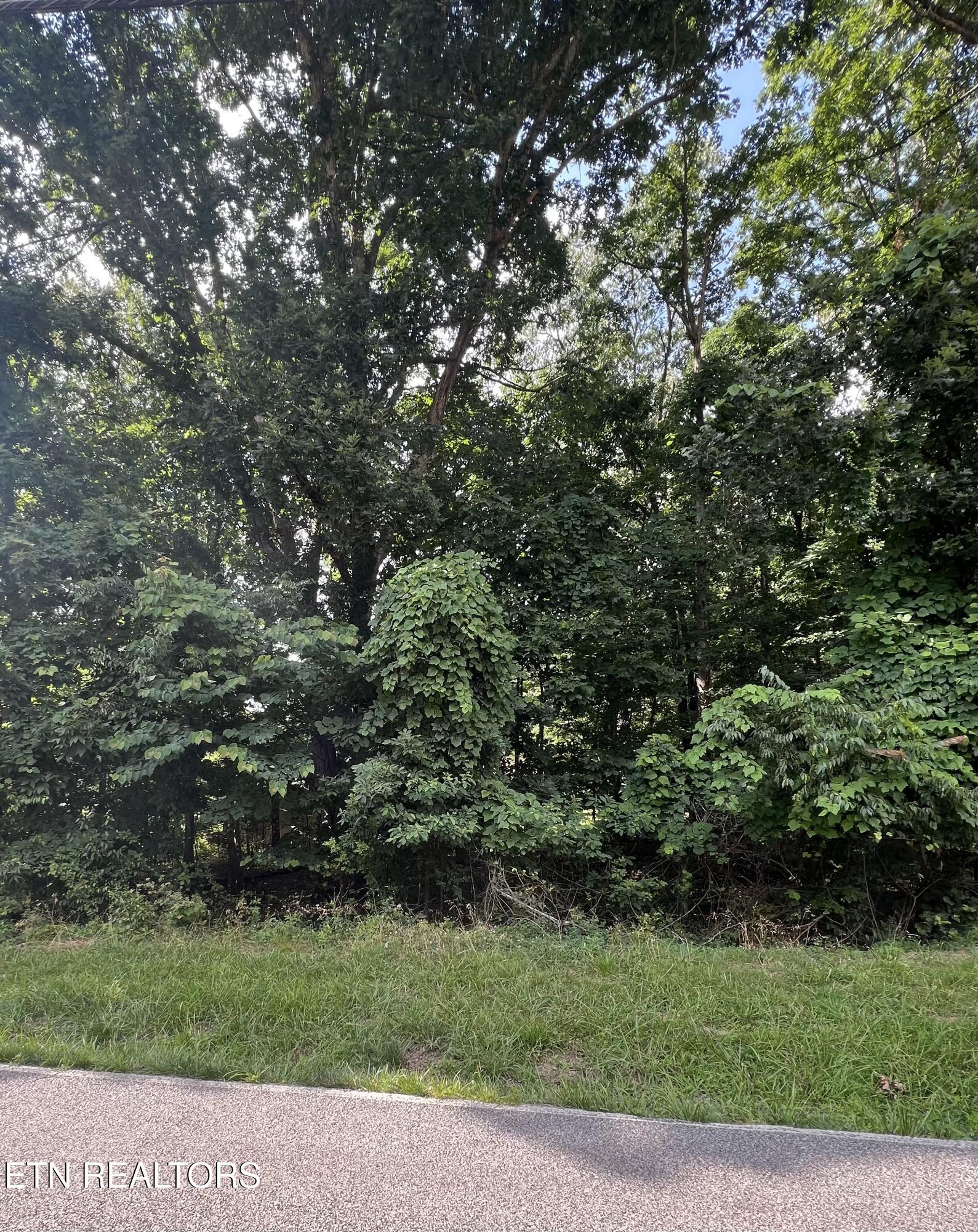 102 Lakeside Drive Crossville TN 38558