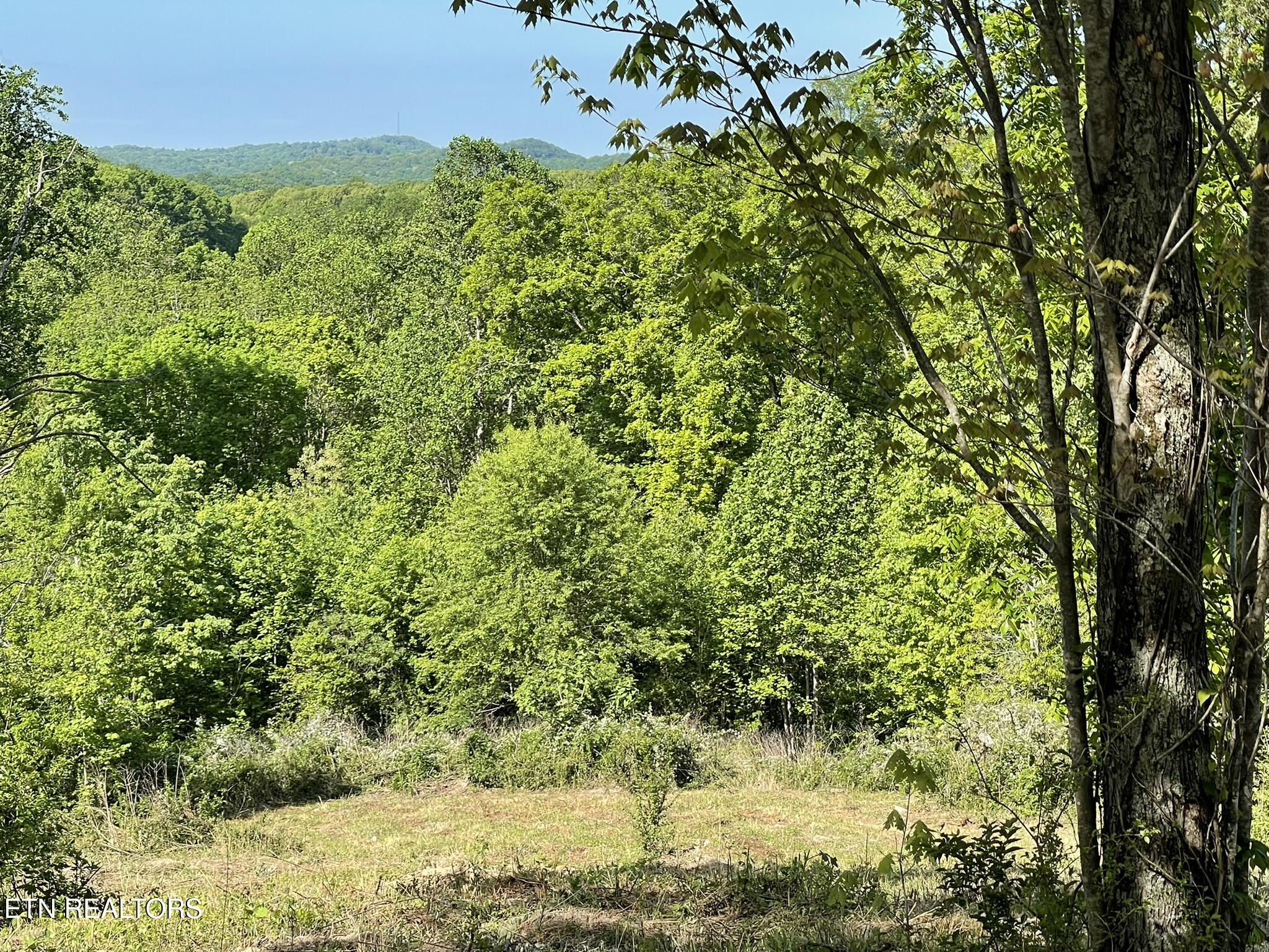0 Williams Bend Road Knoxville TN 37932