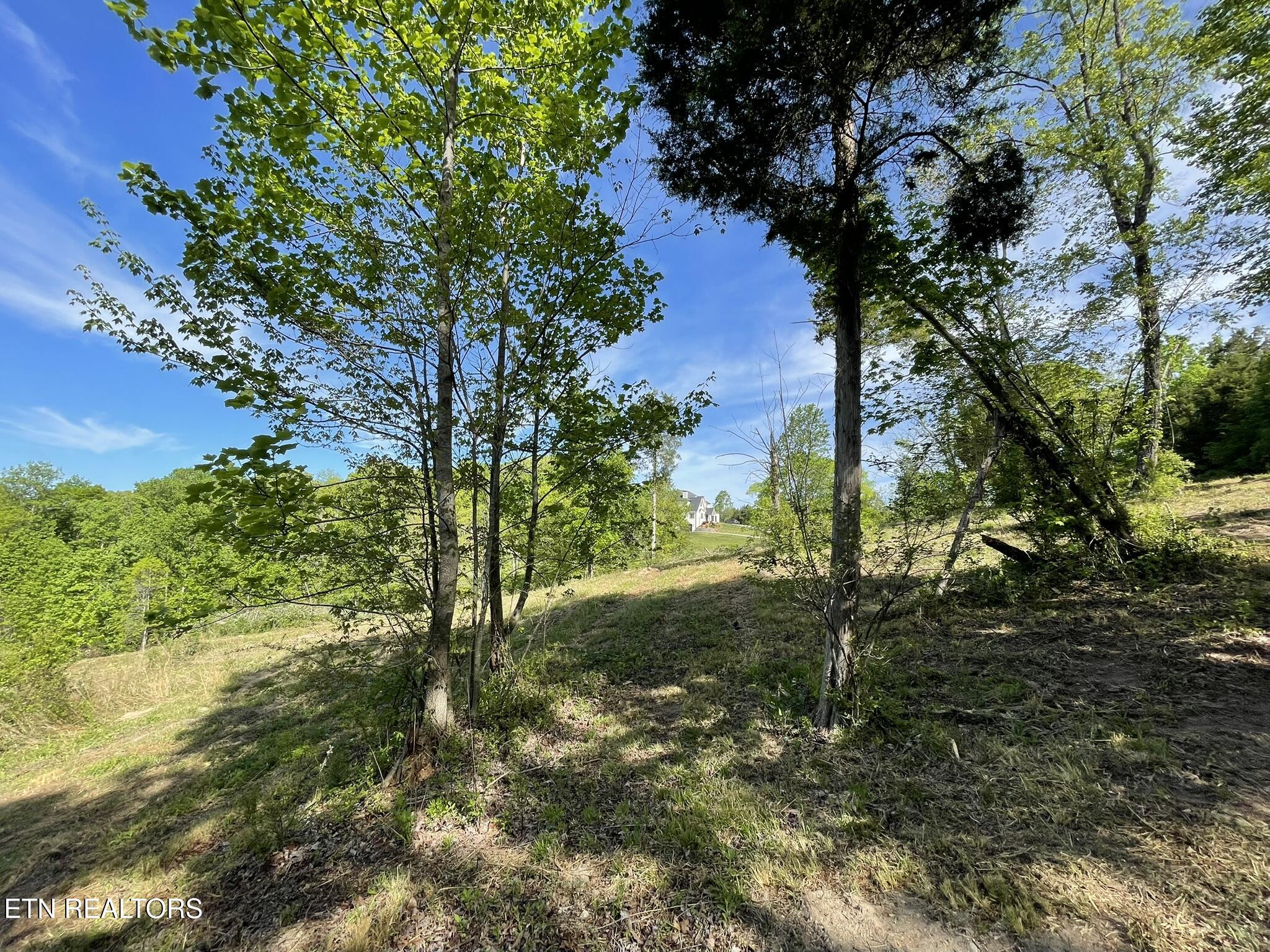 0 Williams Bend Road Knoxville TN 37932