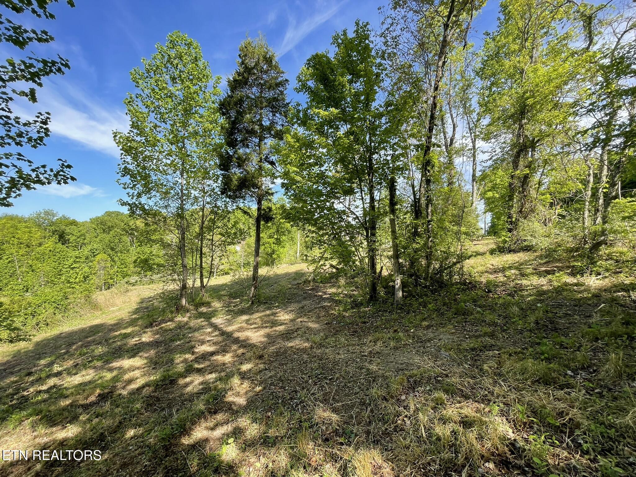 0 Williams Bend Road Knoxville TN 37932