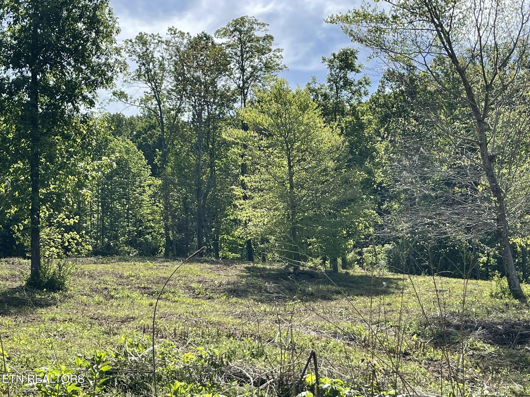 0 Williams Bend Road Knoxville TN 37932