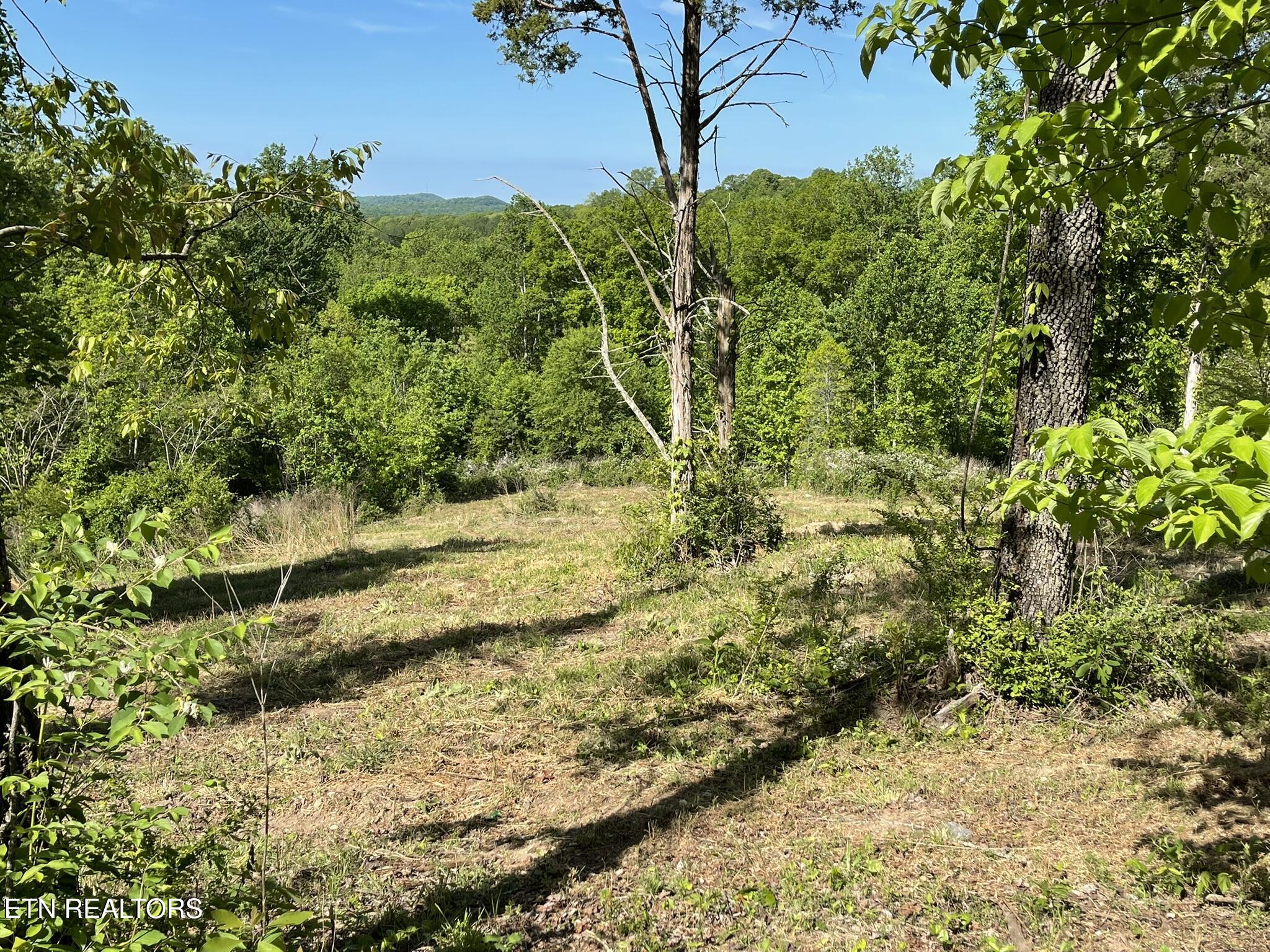 0 Williams Bend Road Knoxville TN 37932