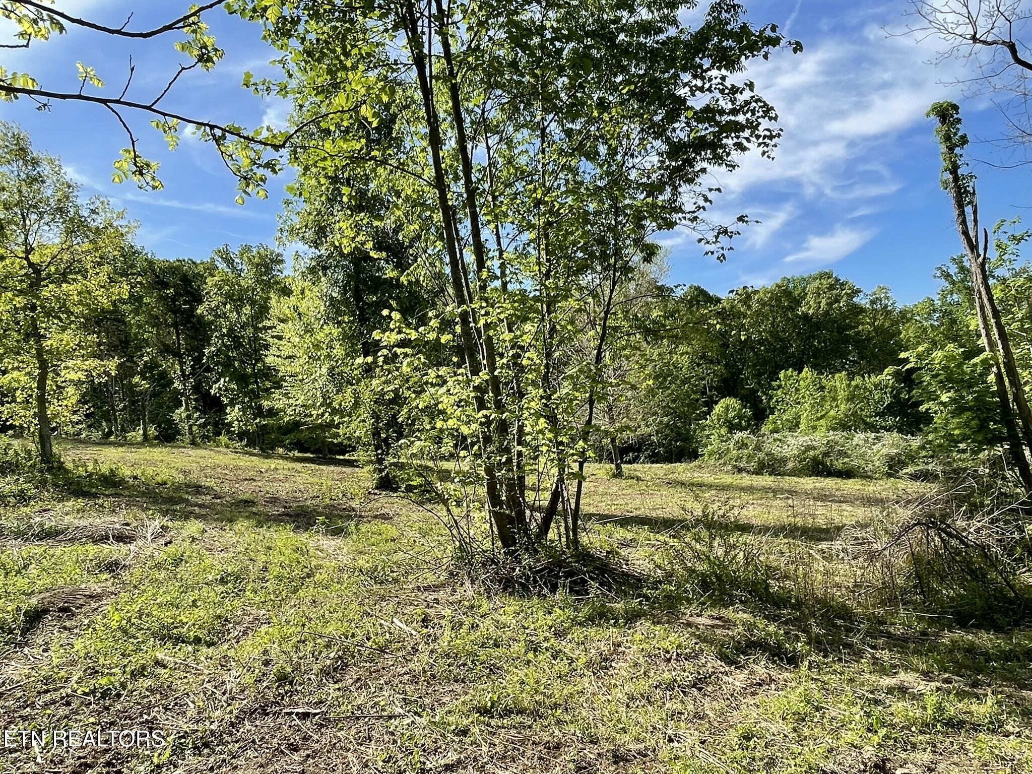 0 Williams Bend Road Knoxville TN 37932